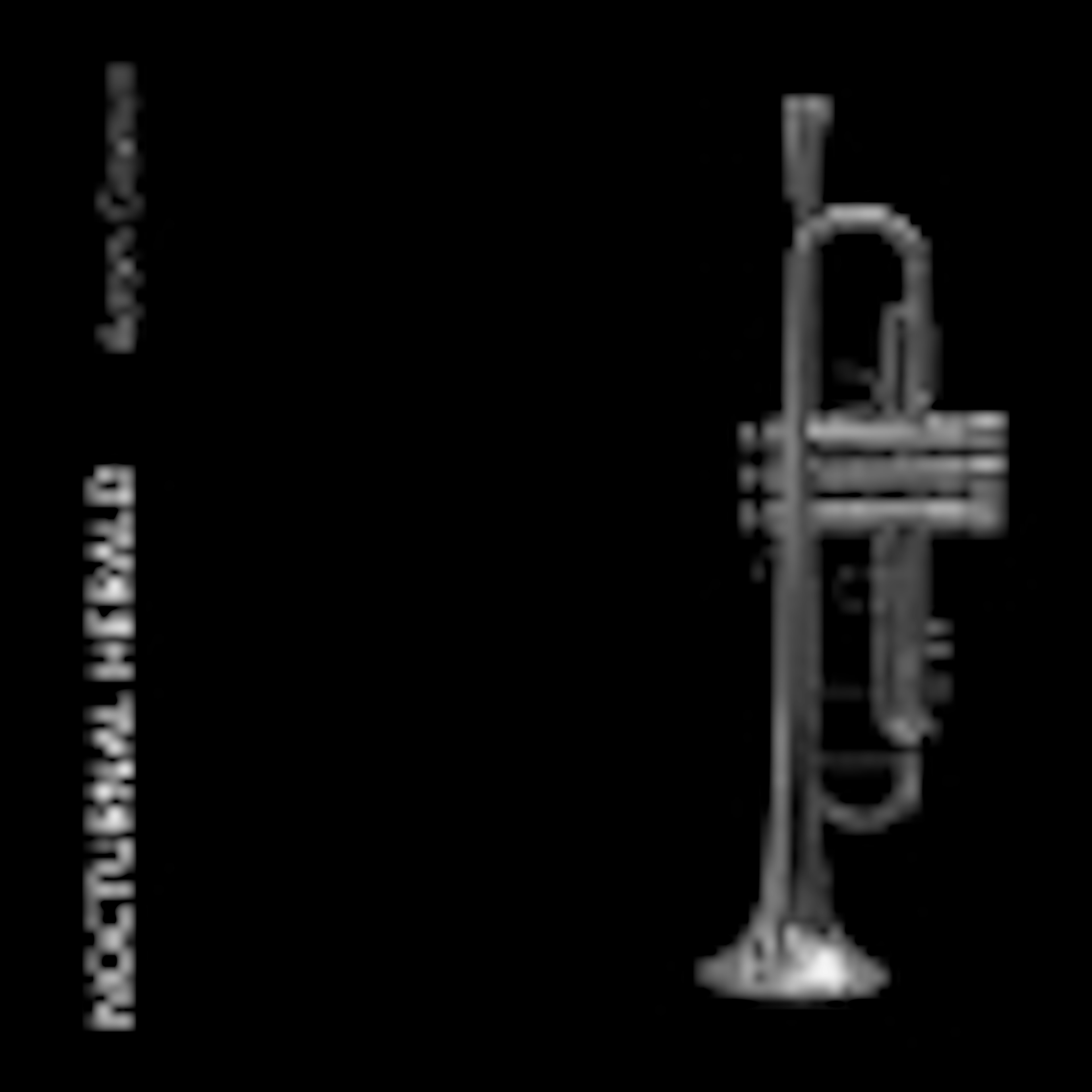Nocturnal Herald album cover