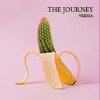 The Journey album cover The Journey album cover