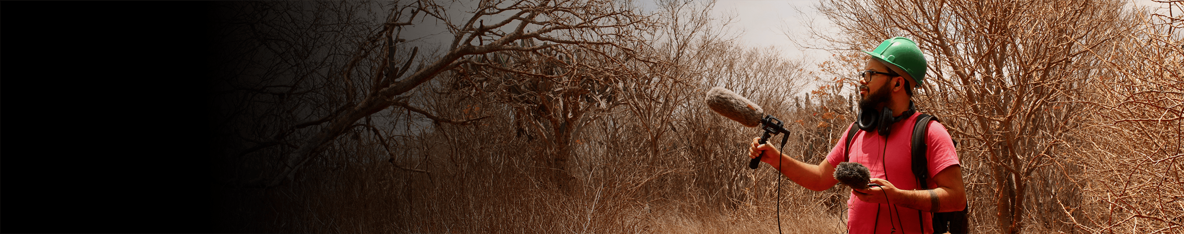 Swamps and Forests Vol 1