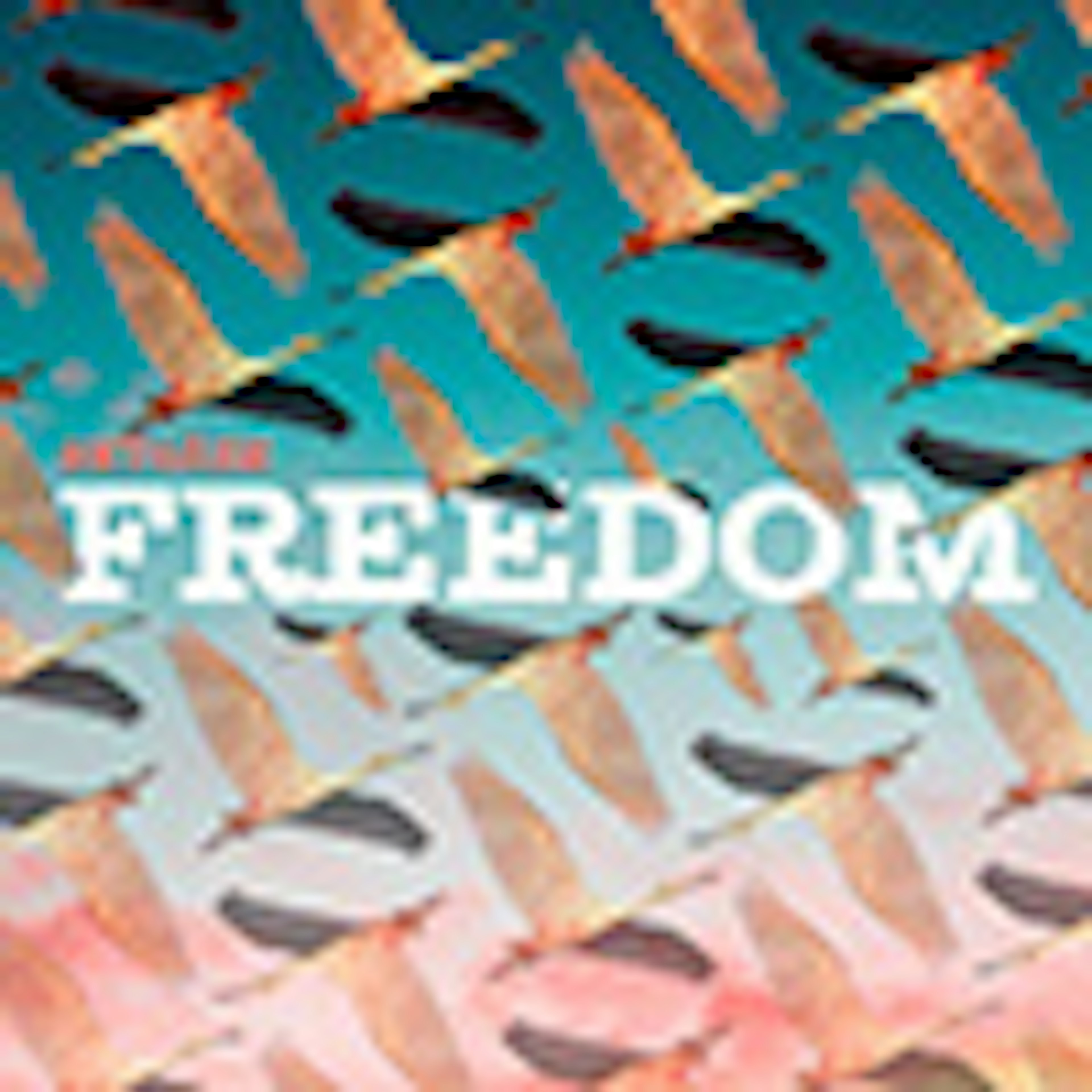 Freedom album cover Freedom album cover