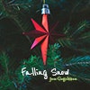 Falling Snow album cover Falling Snow album cover