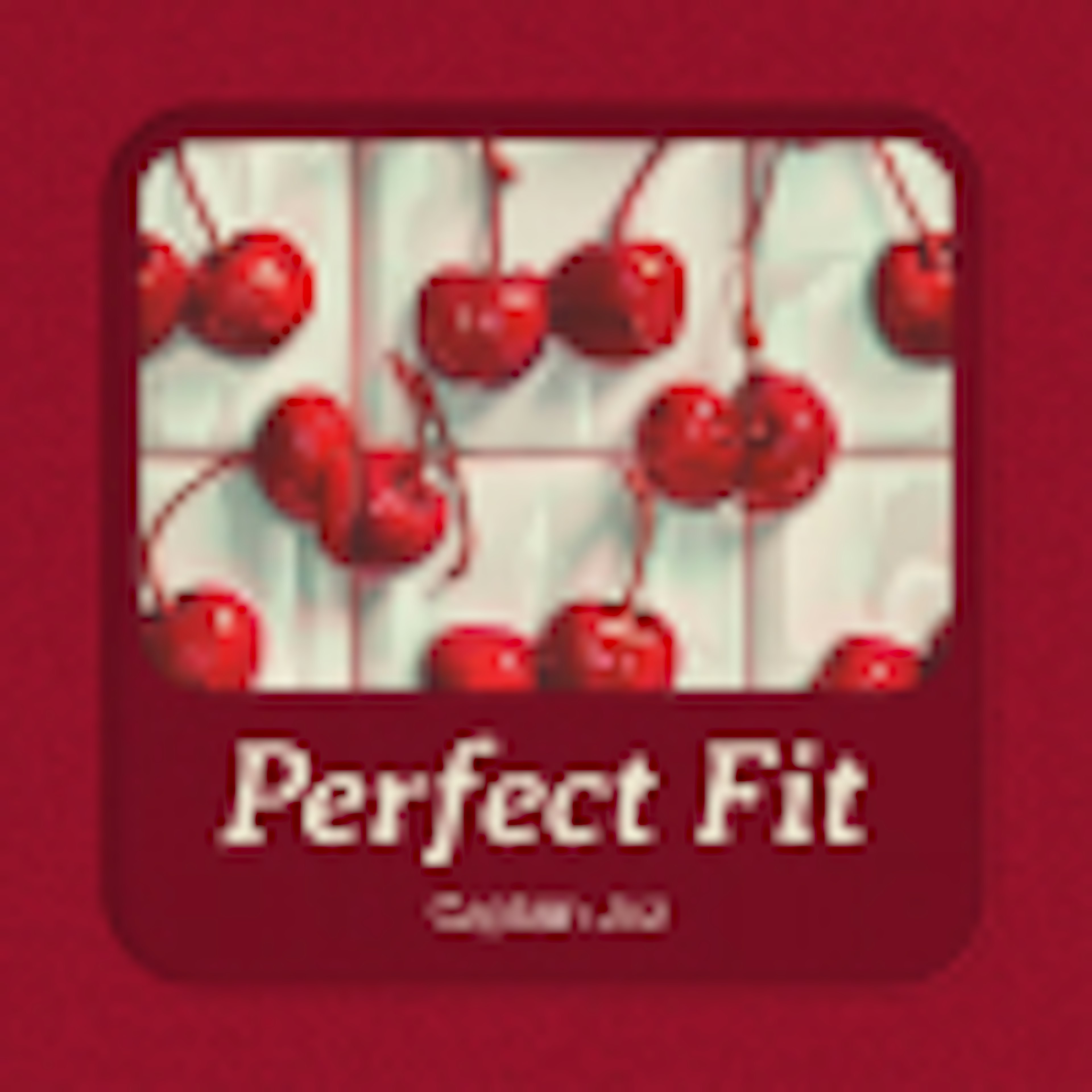 Perfect Fit album cover Perfect Fit album cover