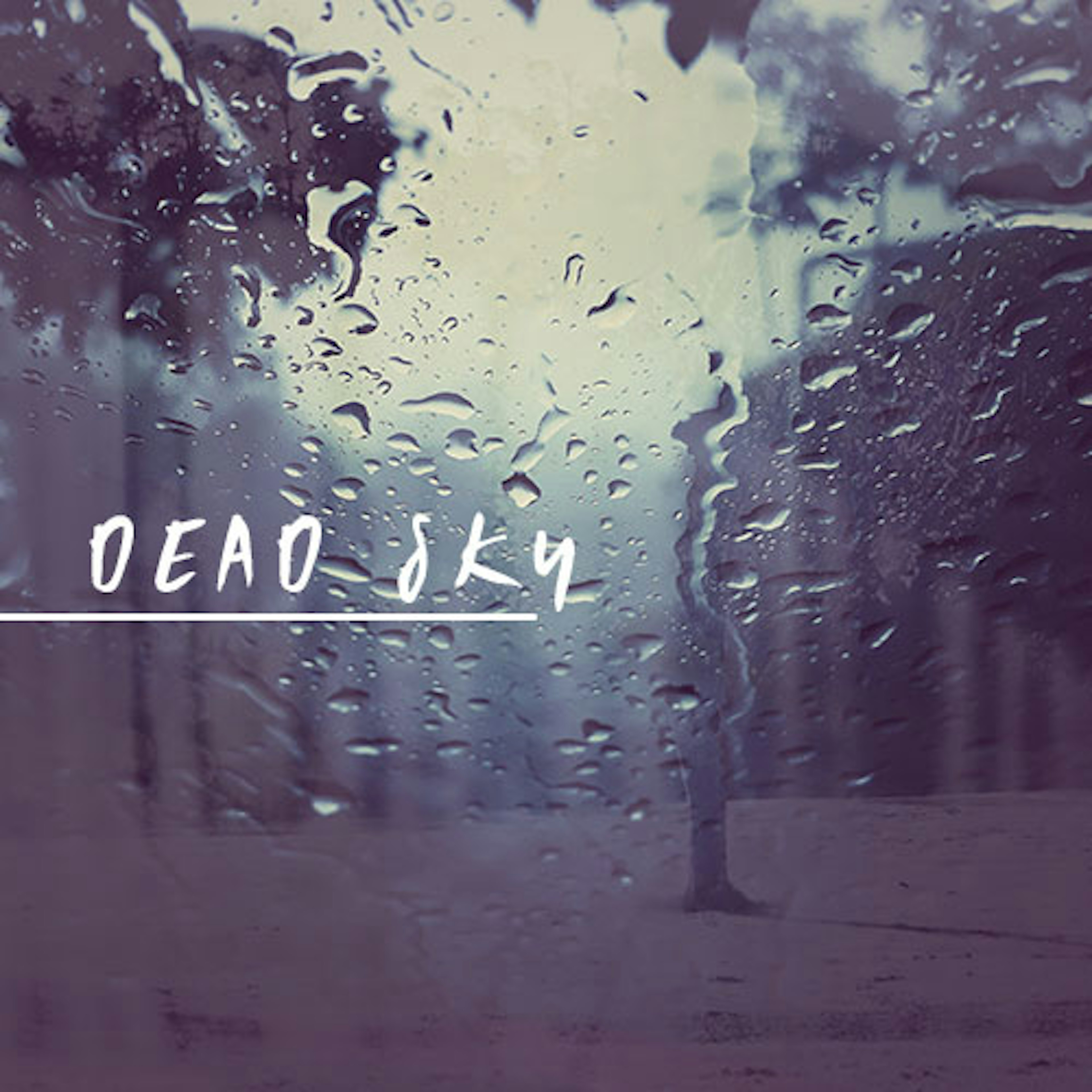 banner-highlight