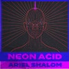 Neon Acid album cover Neon Acid album cover