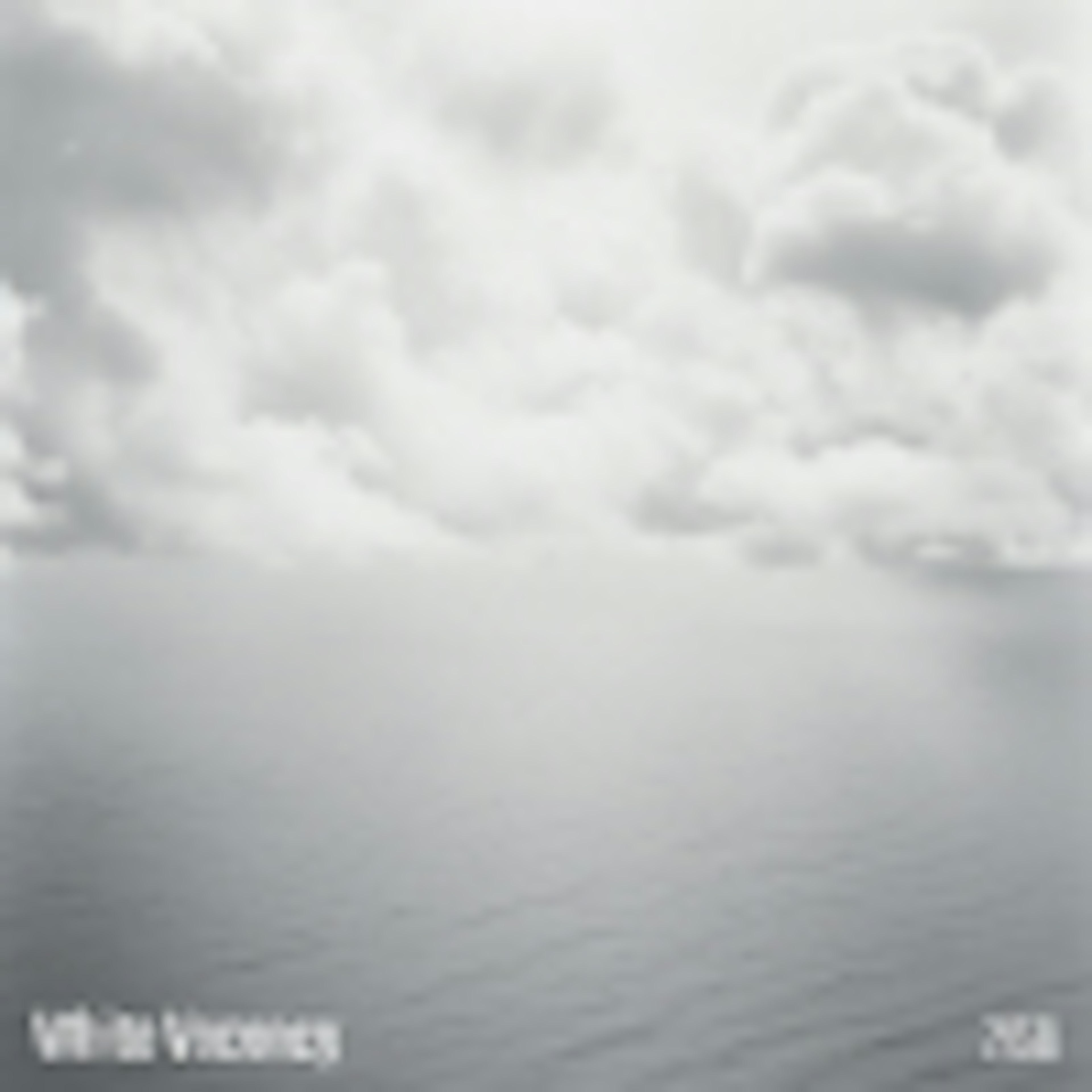 White Vacancy album cover