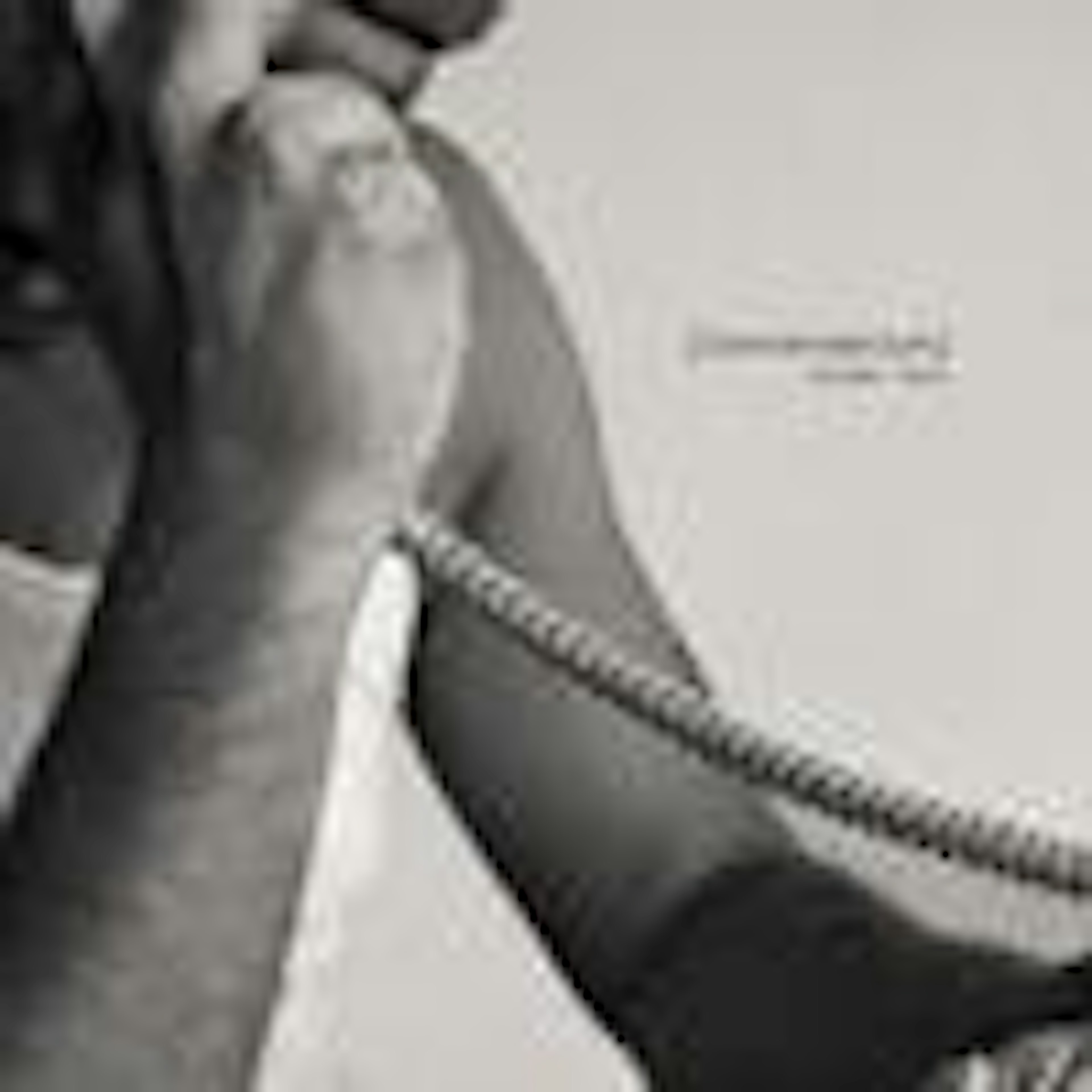 banner-highlight