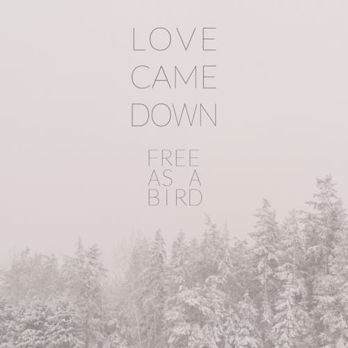 Love Came Down (feat. Gretyl Baird)