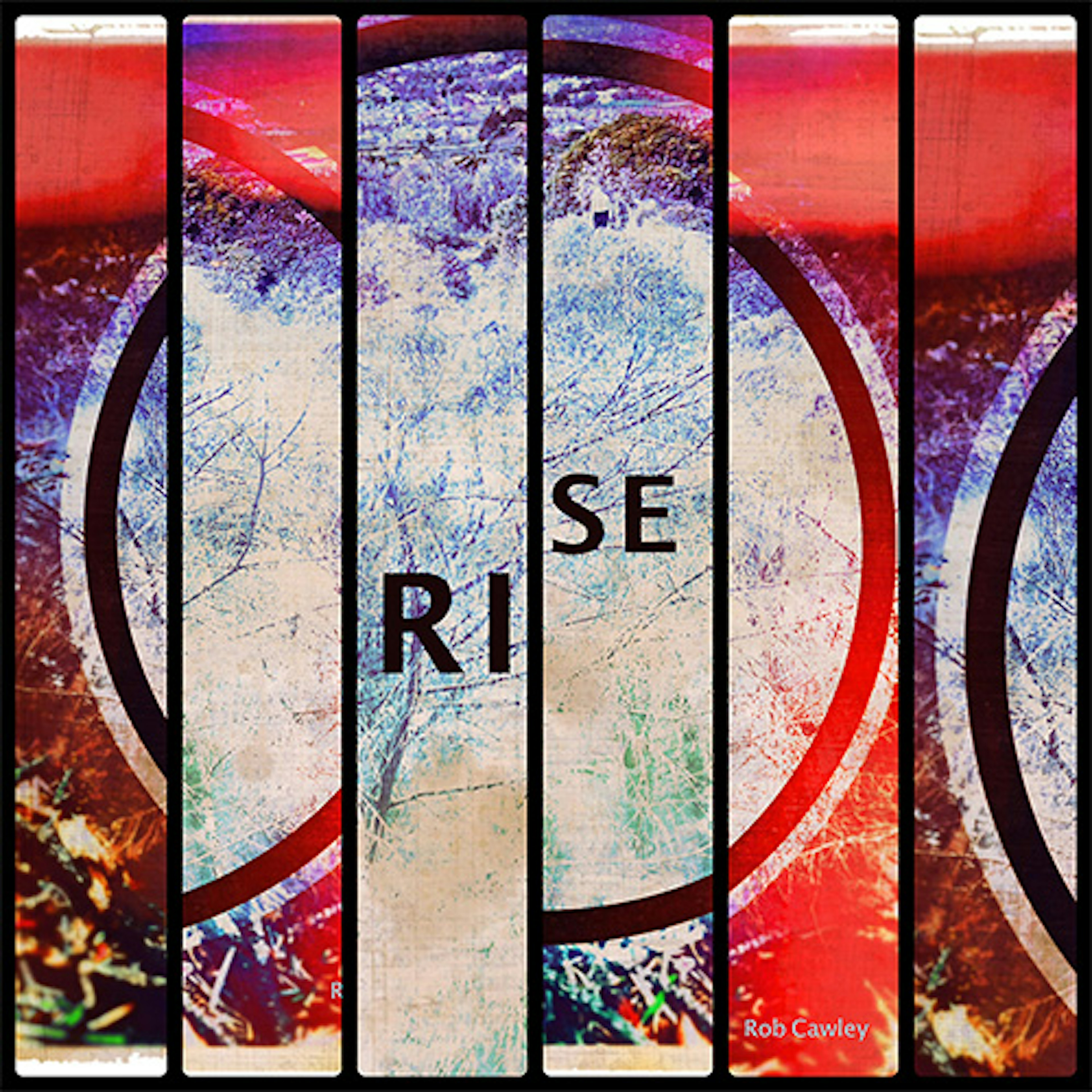 banner-highlight