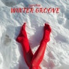 Winter Groove album cover Winter Groove album cover