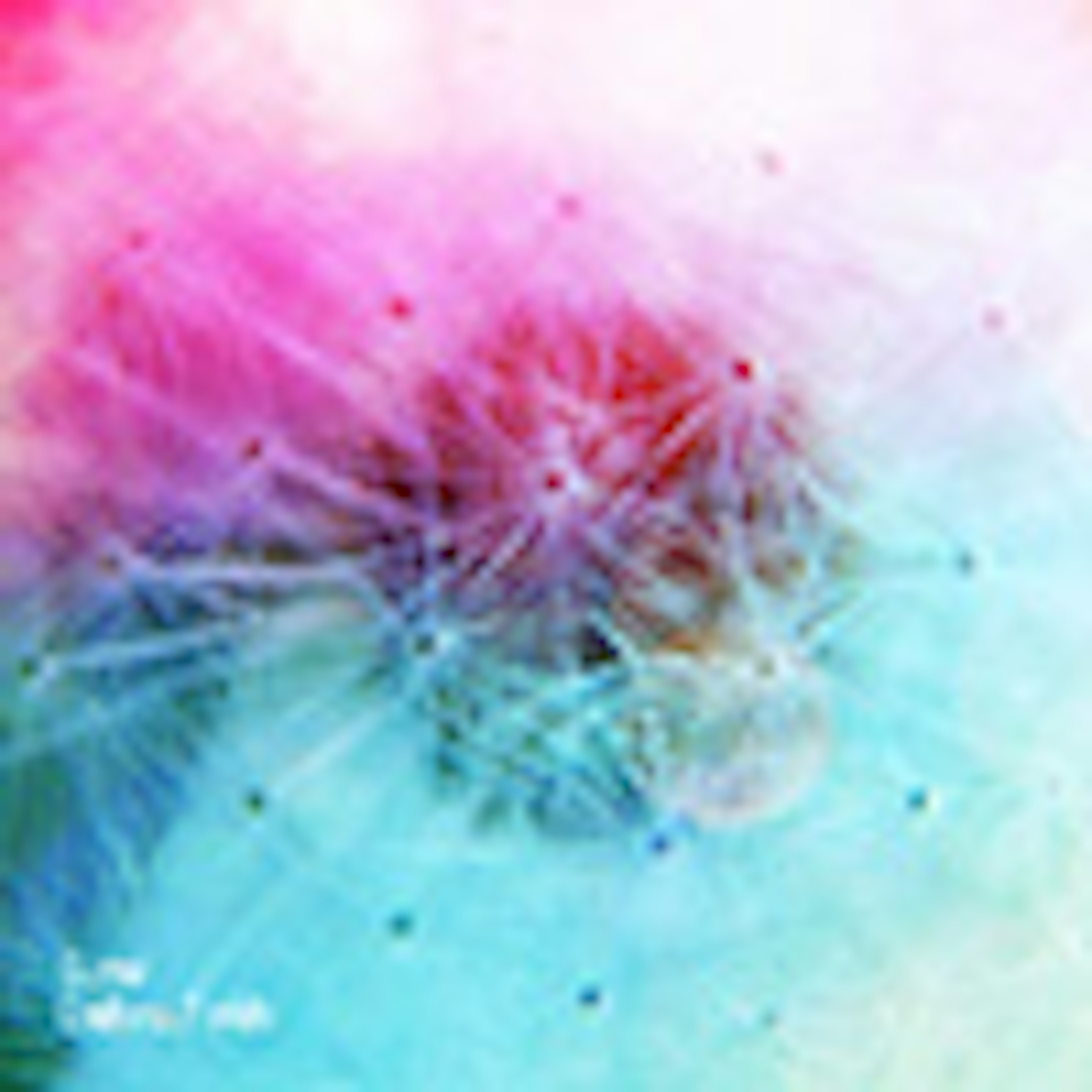 banner-highlight