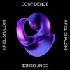 Confidence album cover Confidence album cover