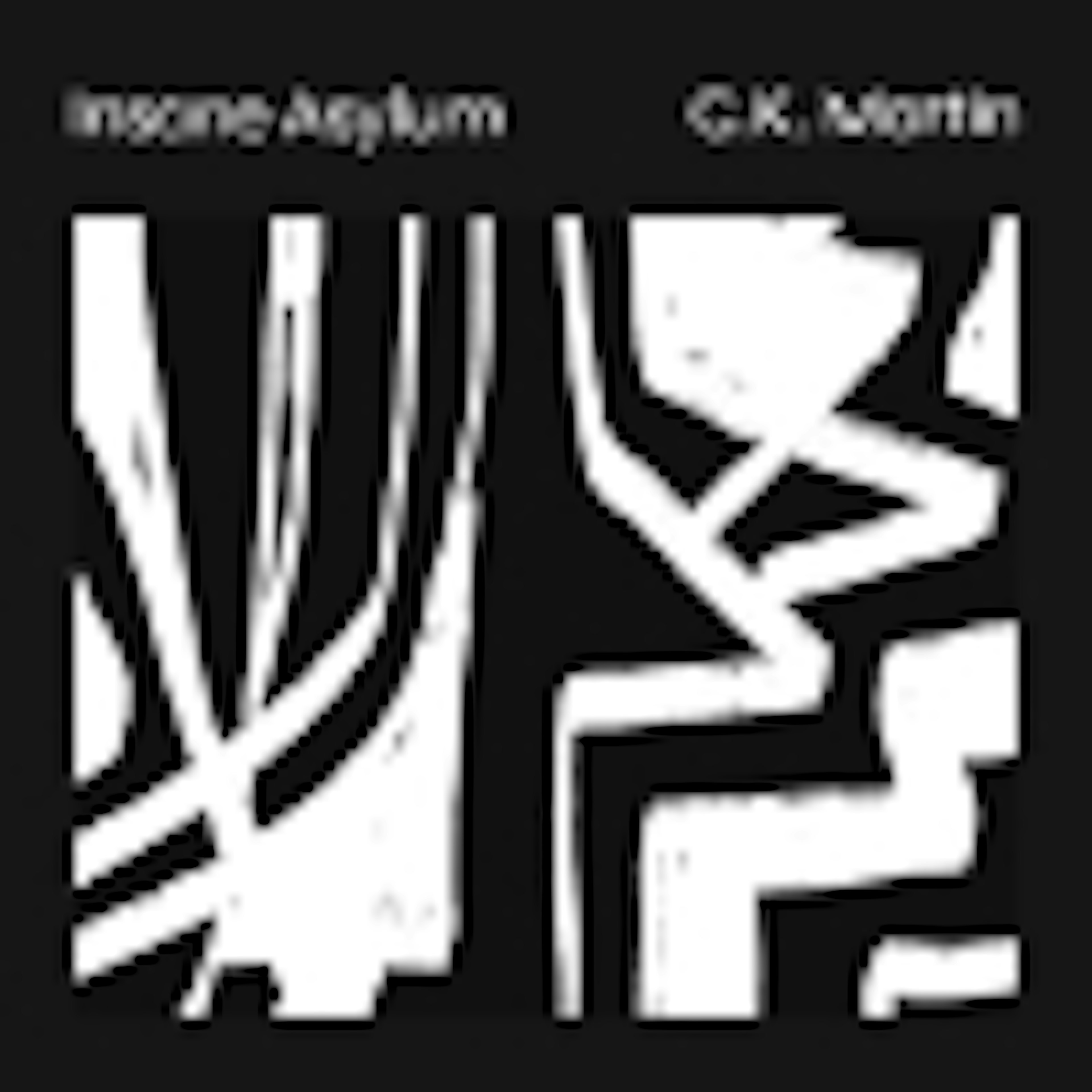 Insane Asylum album cover