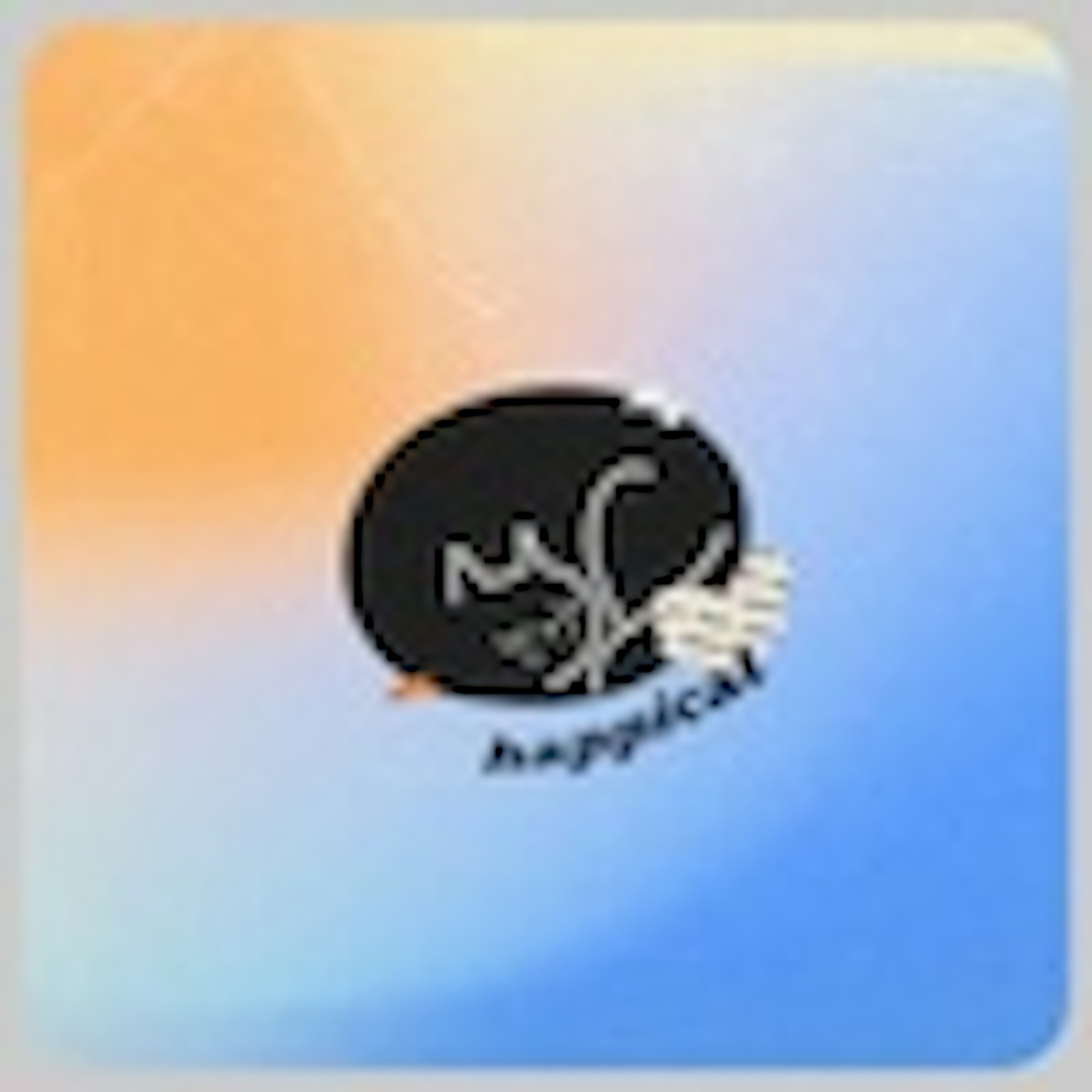 happicat album cover happicat album cover