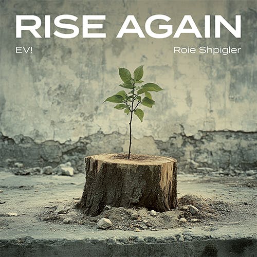 Rise Again