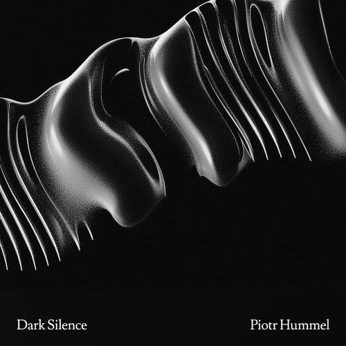 Dark Silence