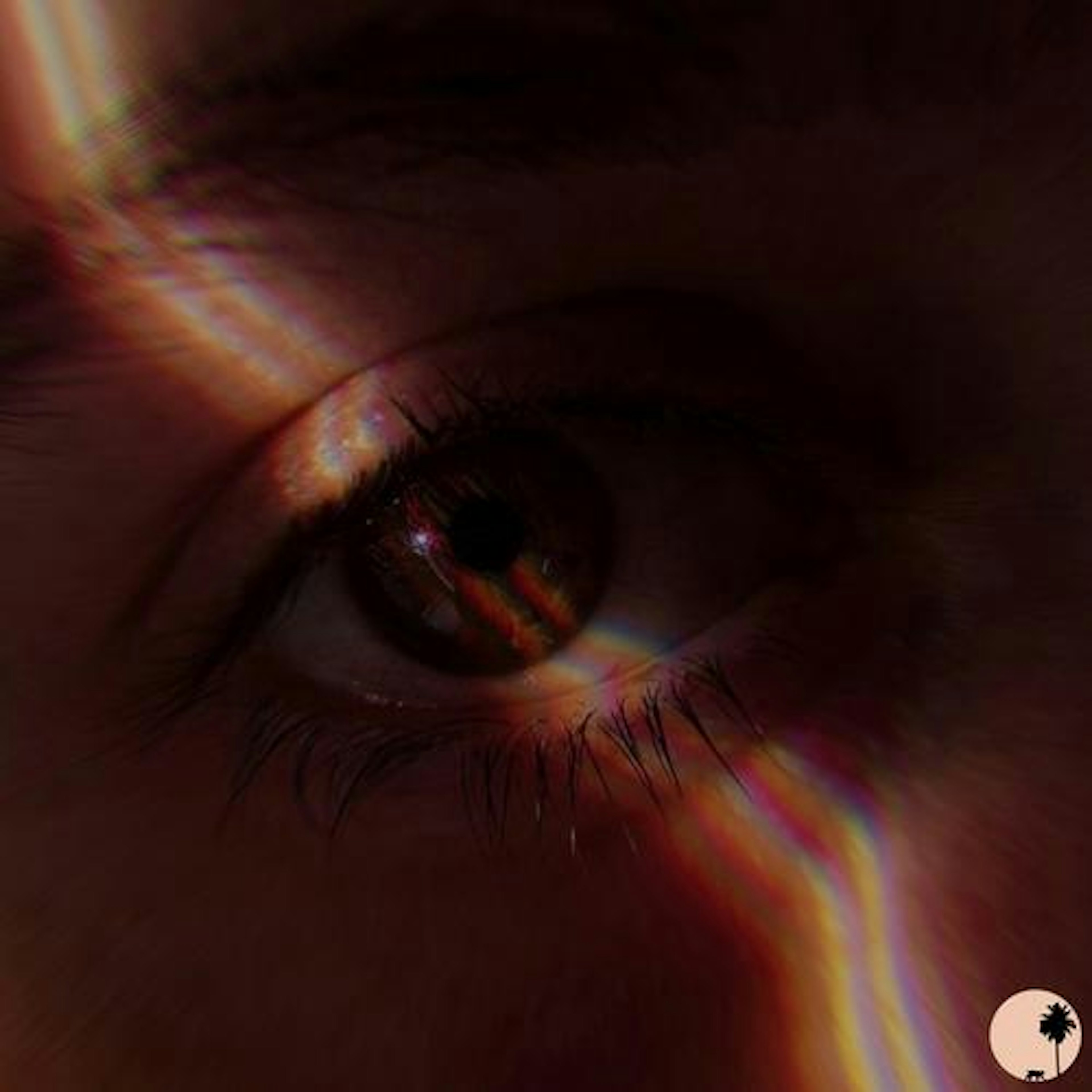 banner-highlight