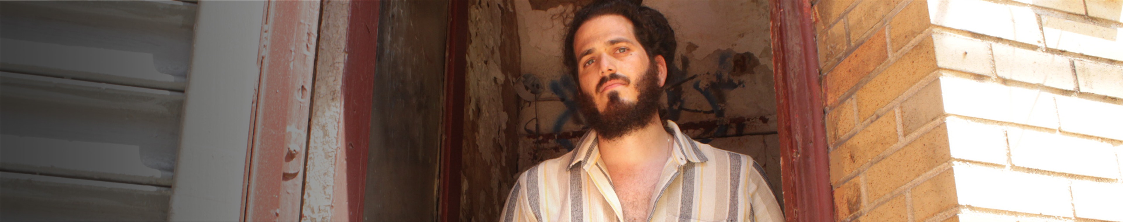 Forgotten Dreams by Aves