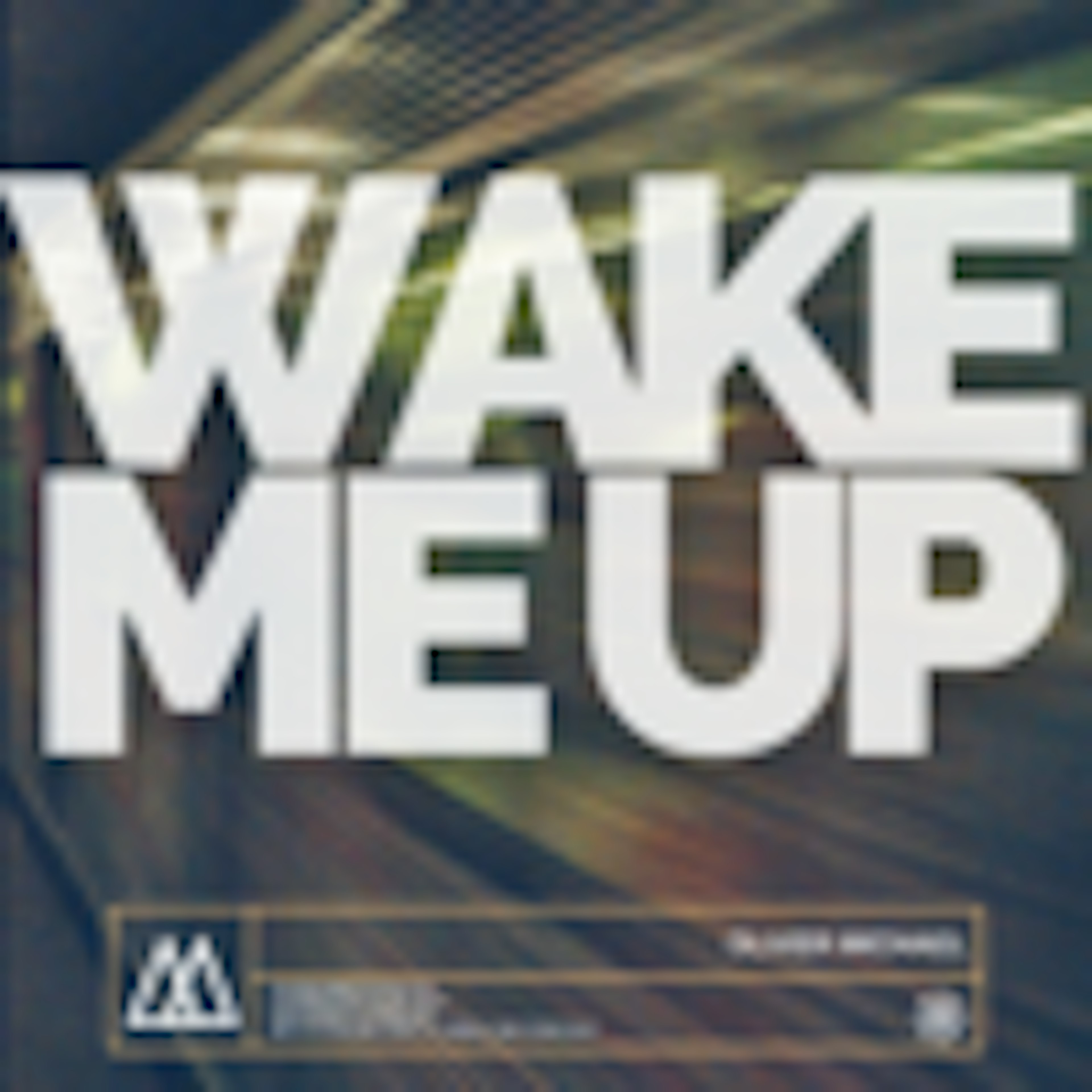 Wake Me Up album cover