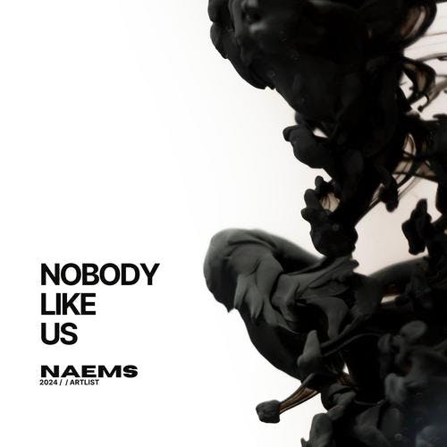 Nobody Like Us