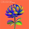 CRUSH album cover CRUSH album cover