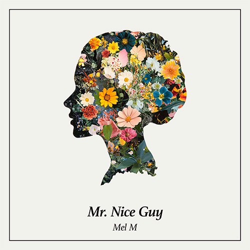 Mr. Nice Guy