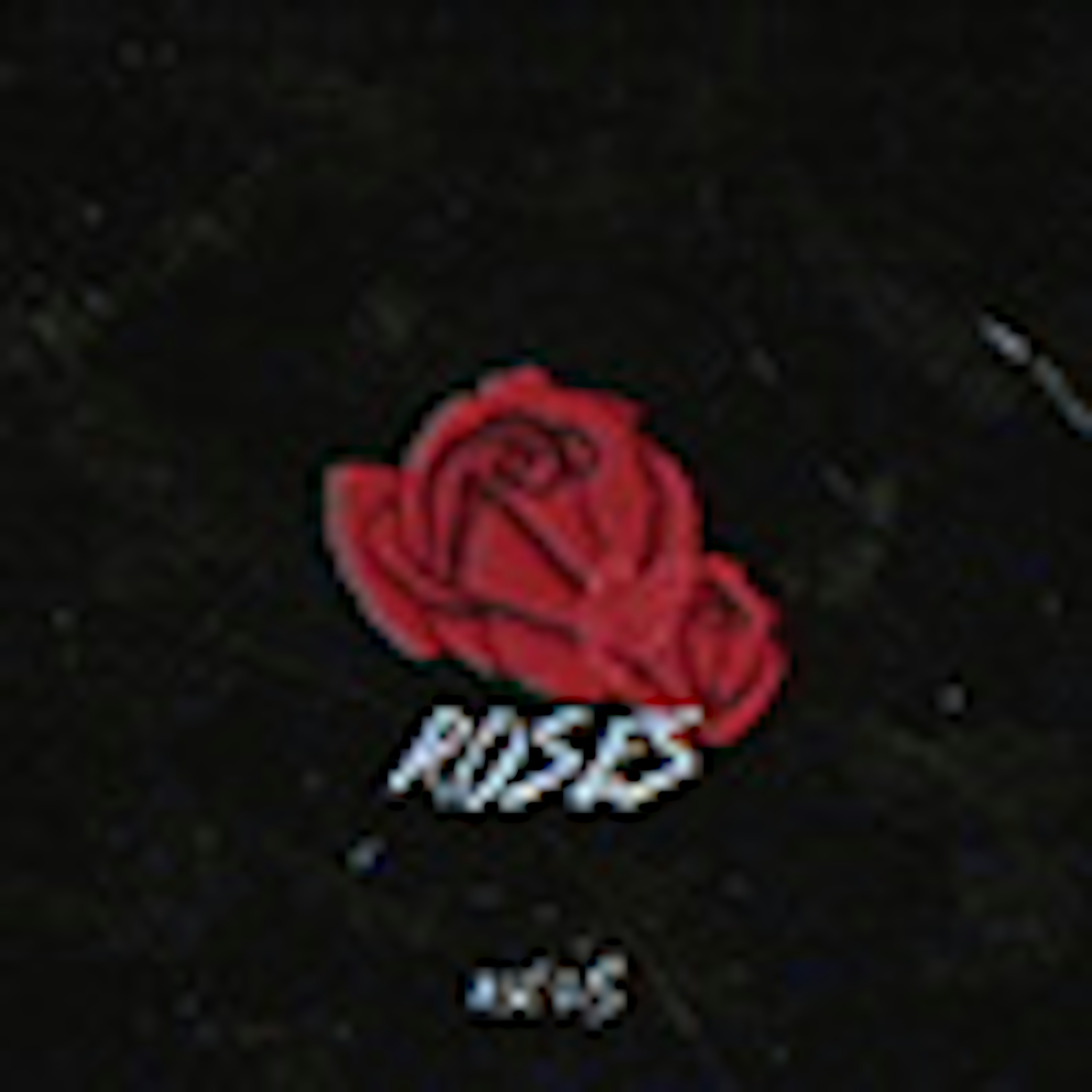 banner-highlight