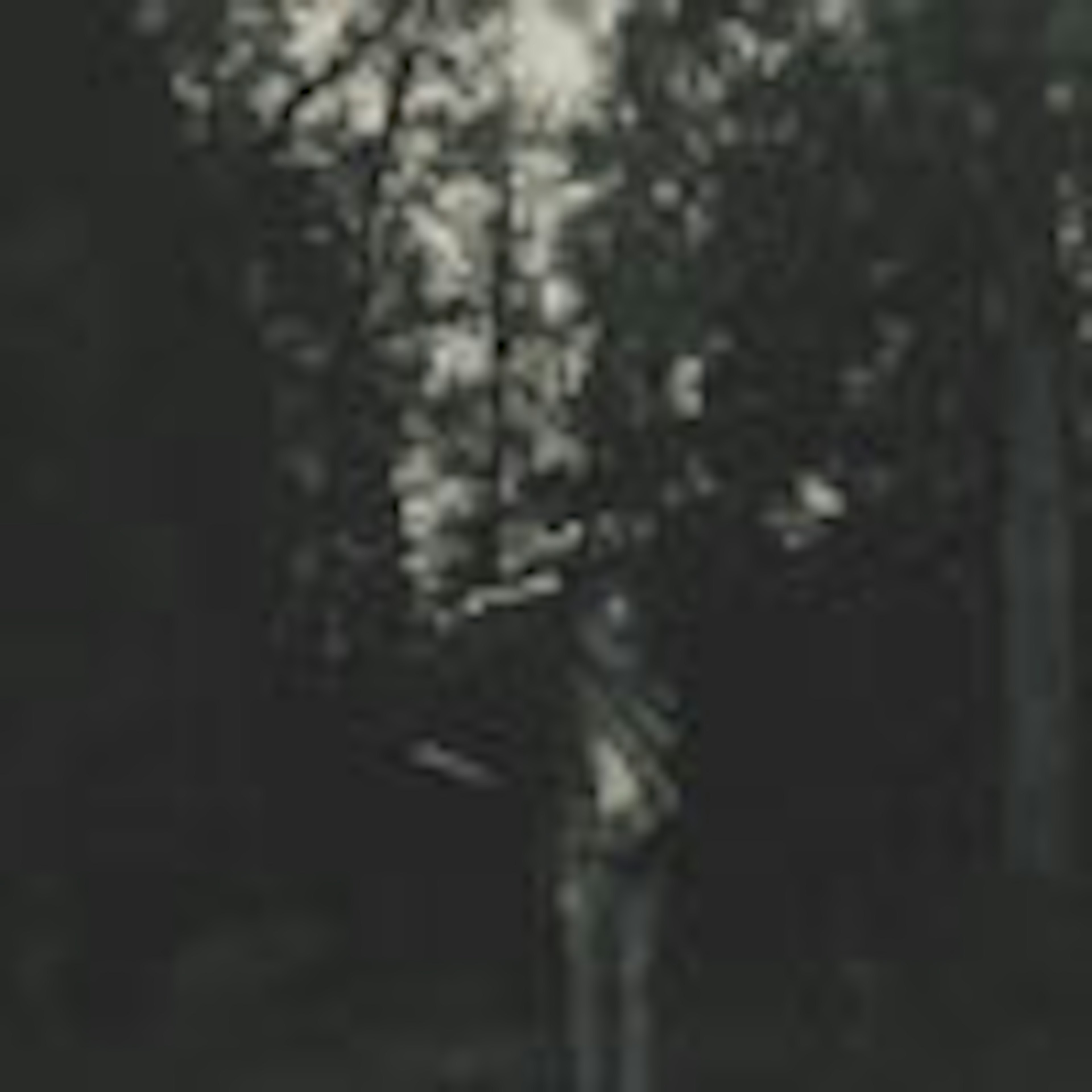 banner-highlight