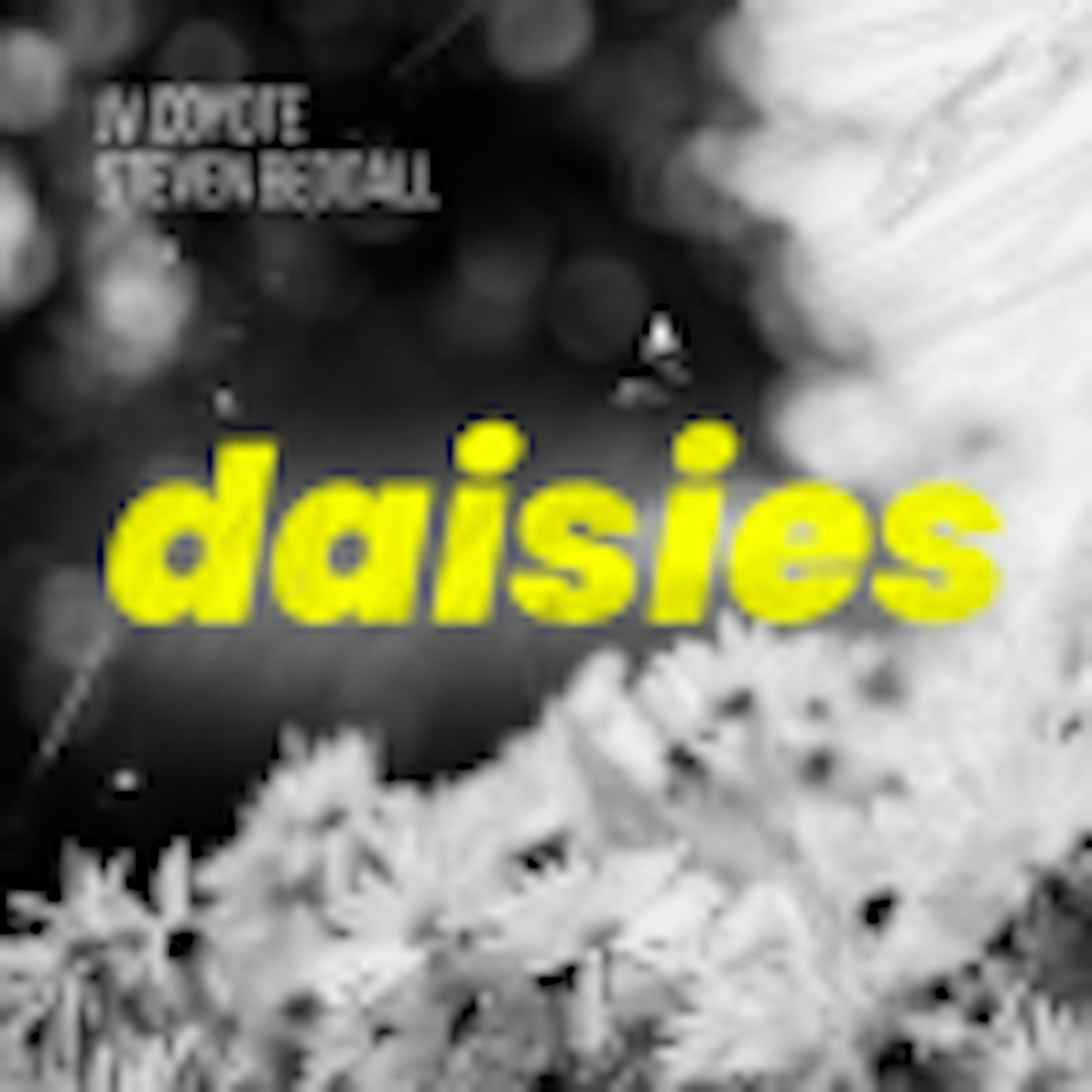 Daisies album cover