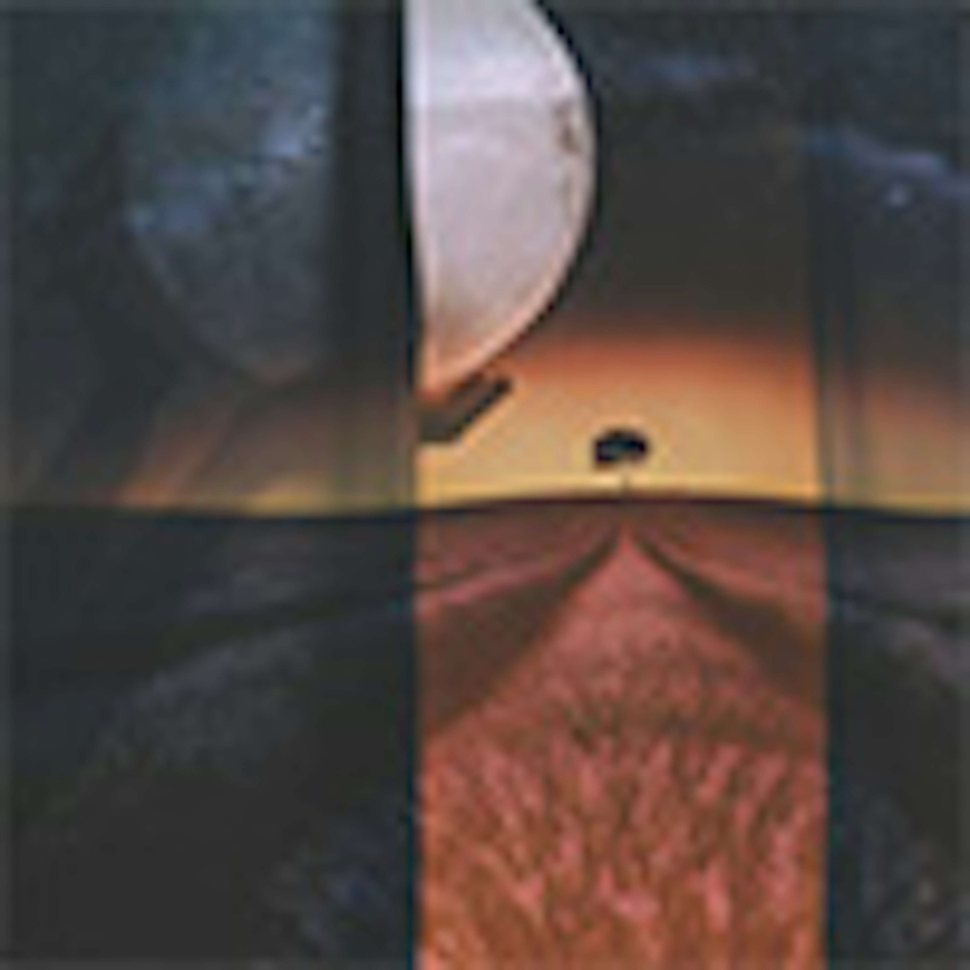 Gardens Against Time