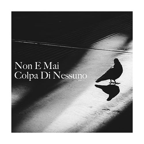 Non e mai colpa di nessuno