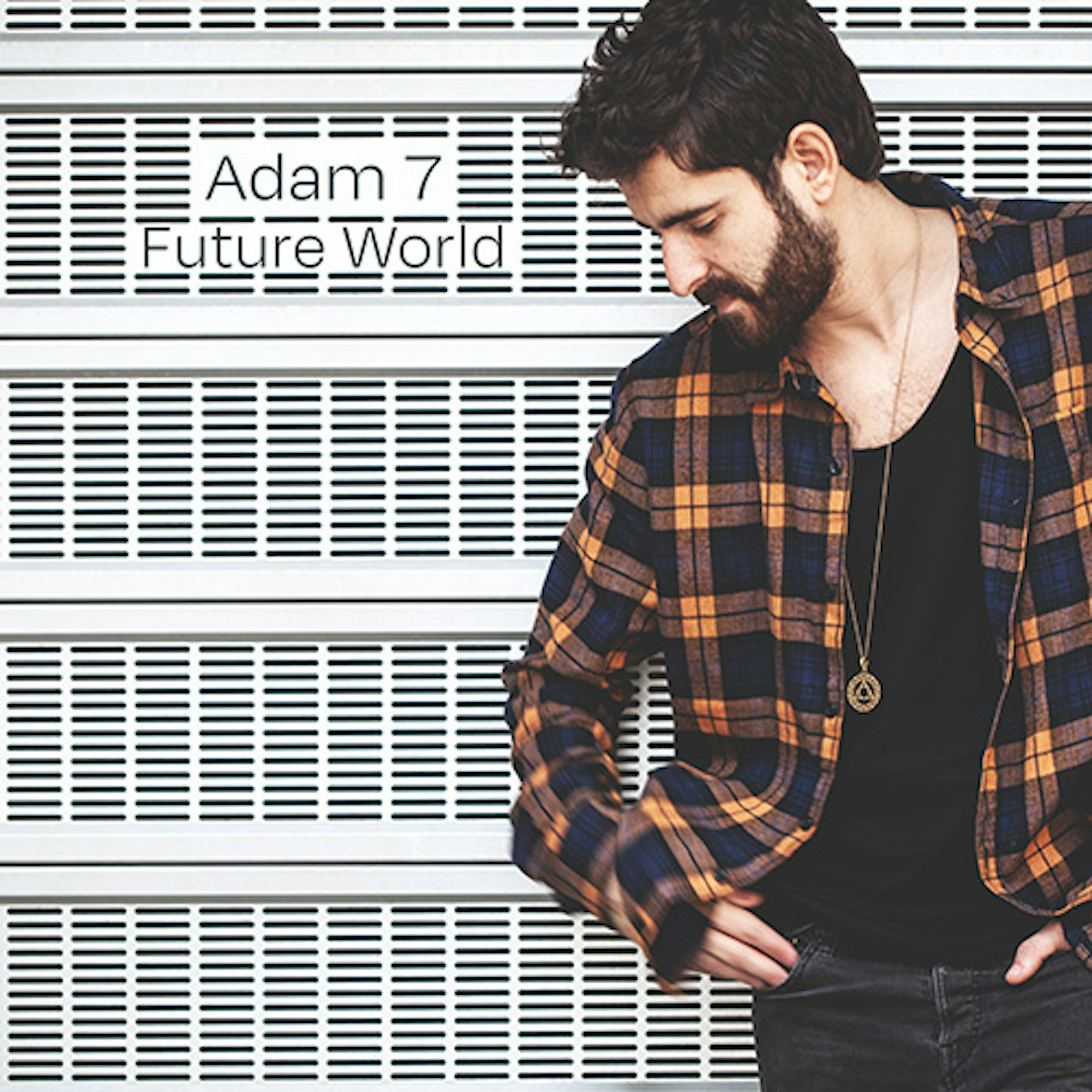 banner-highlight