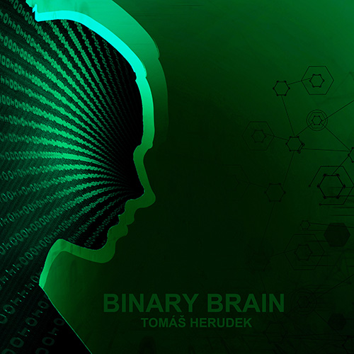 Binary Brain