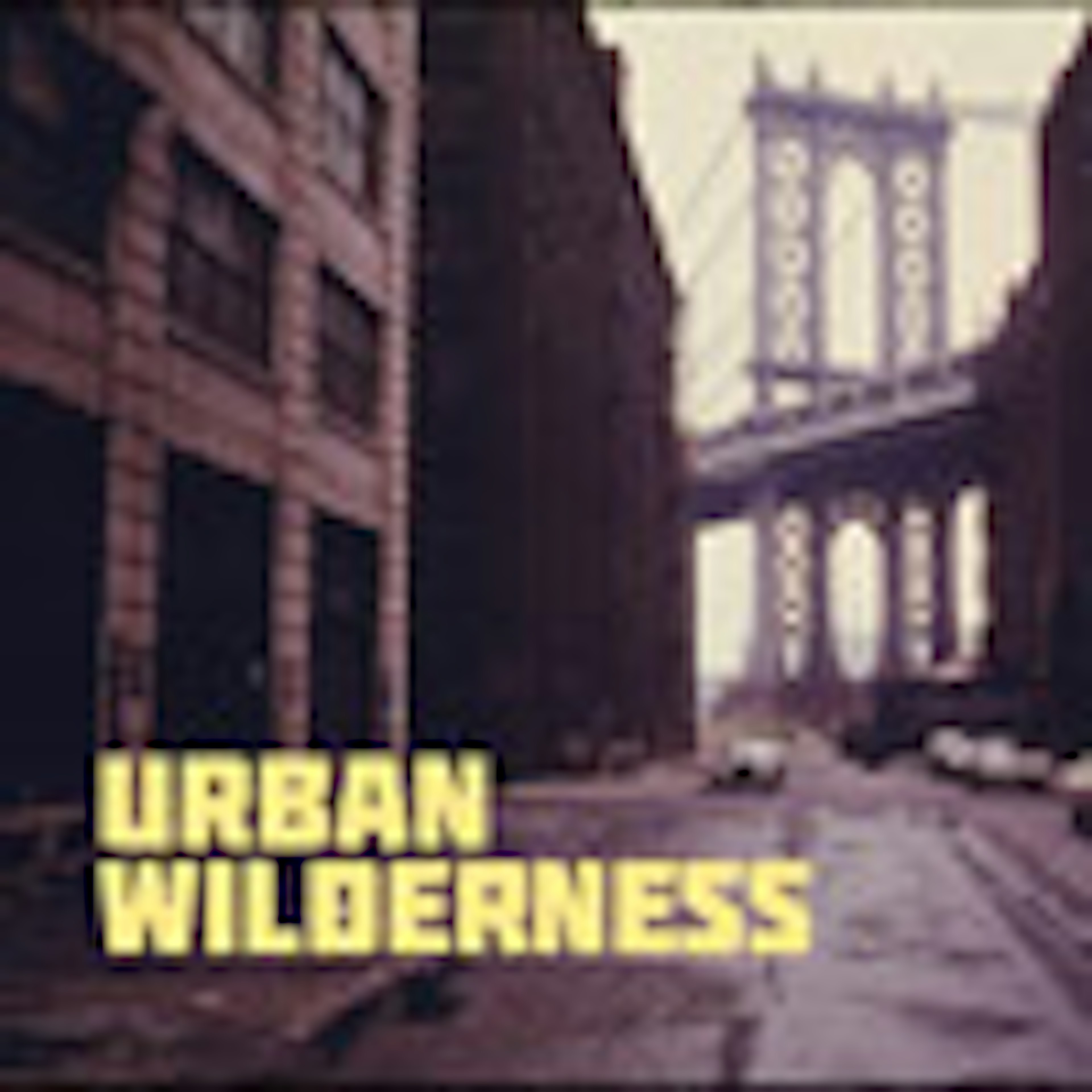 Urban Wilderness 
