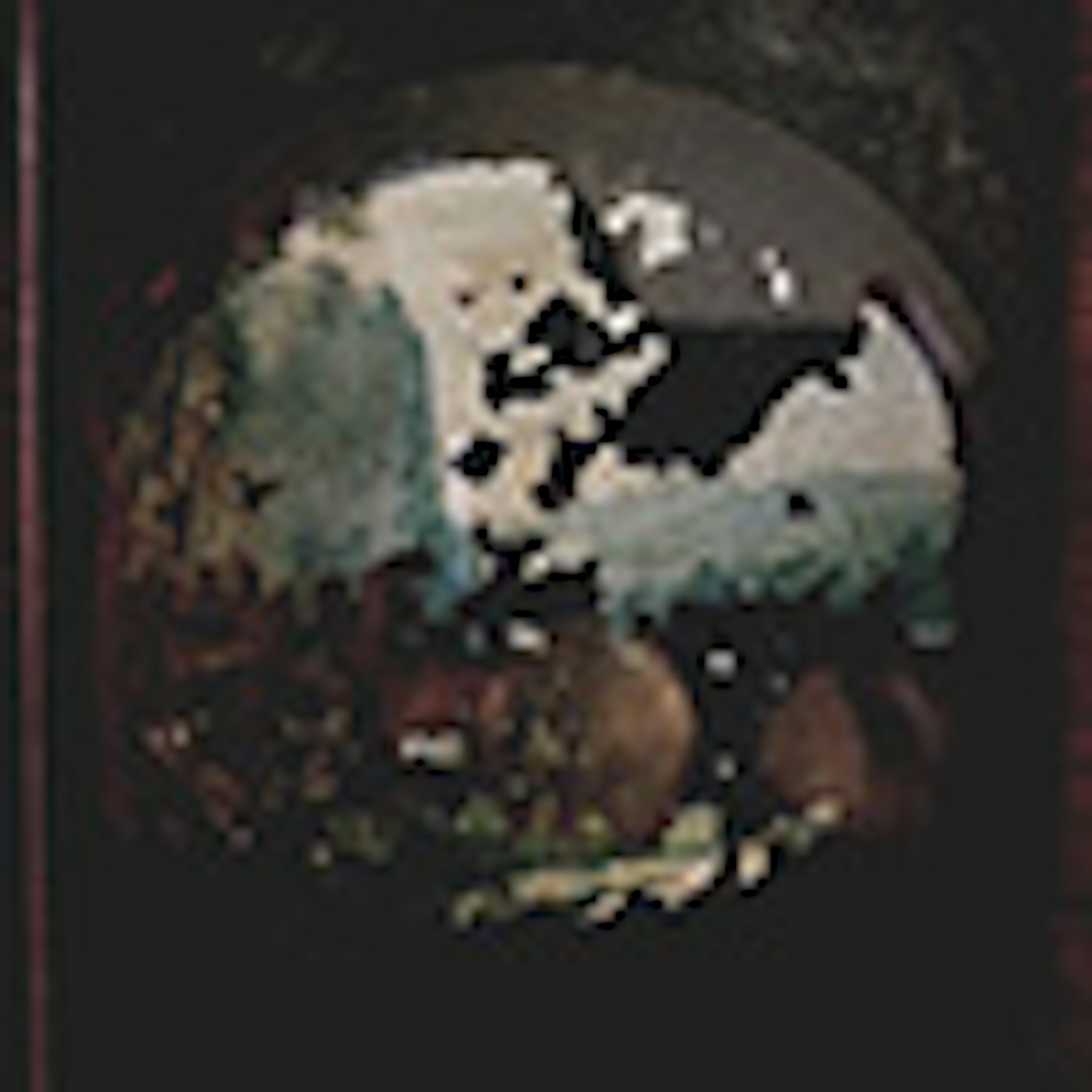 Hills We Were Willing to Die On album cover