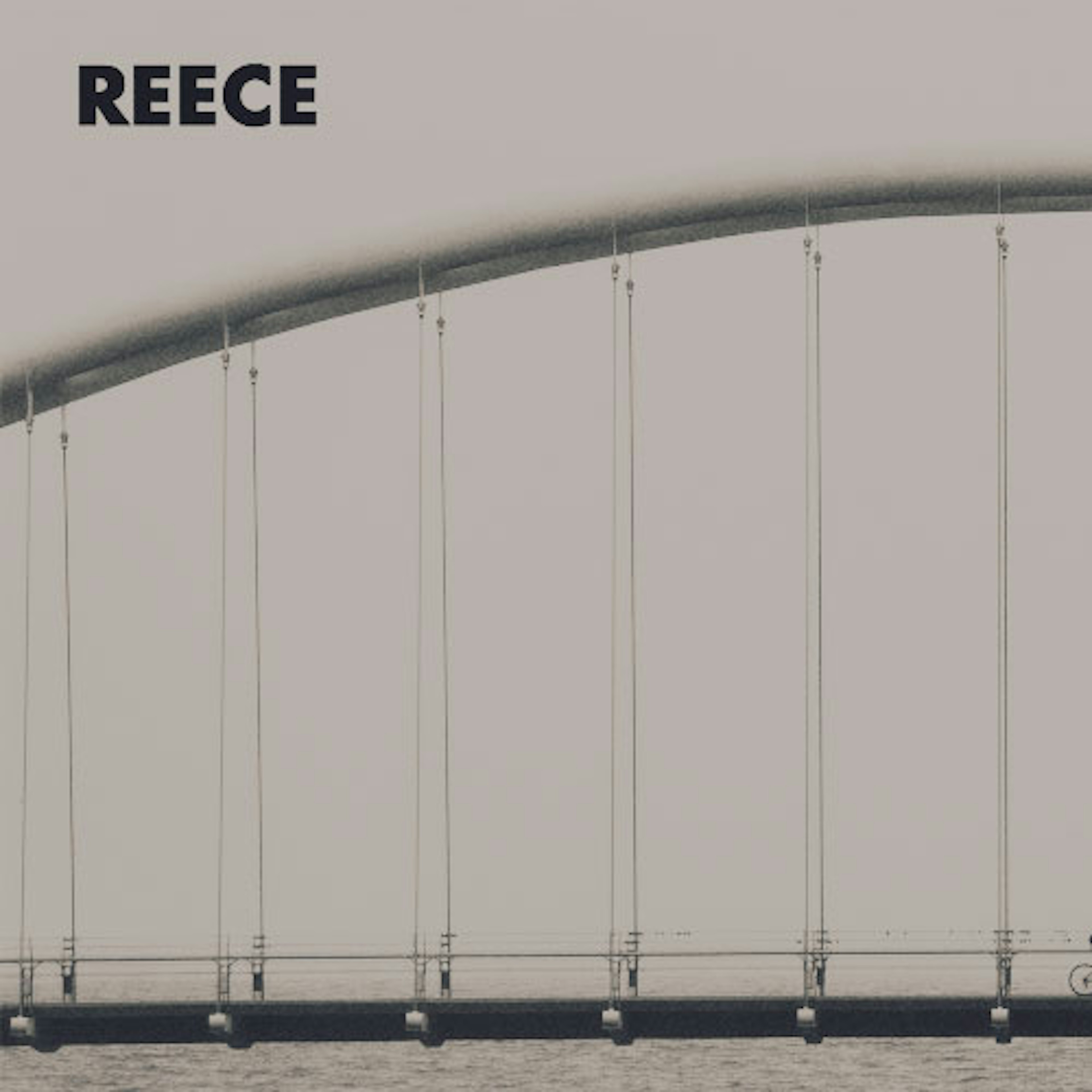 banner-highlight