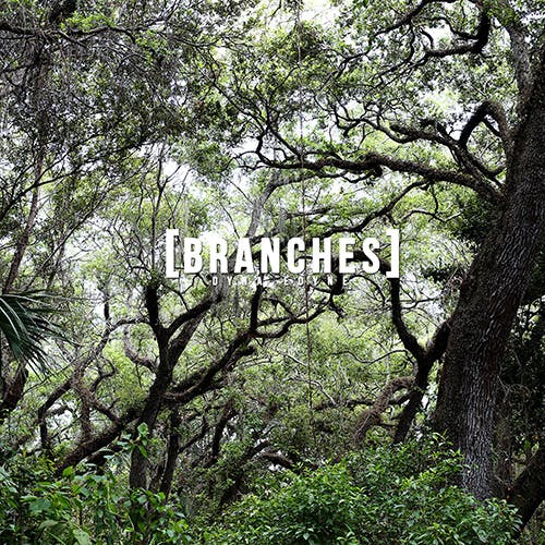 Branches