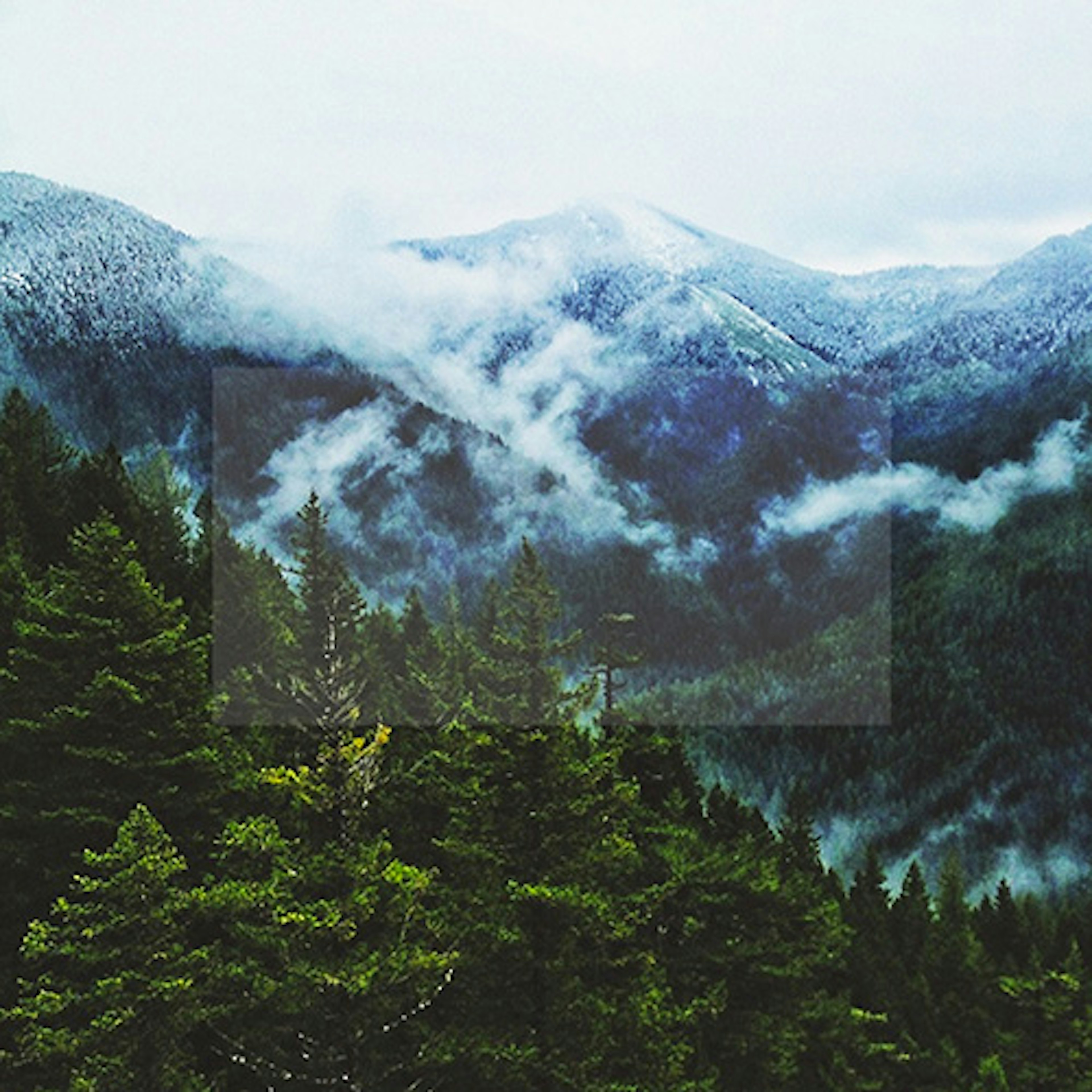 banner-highlight
