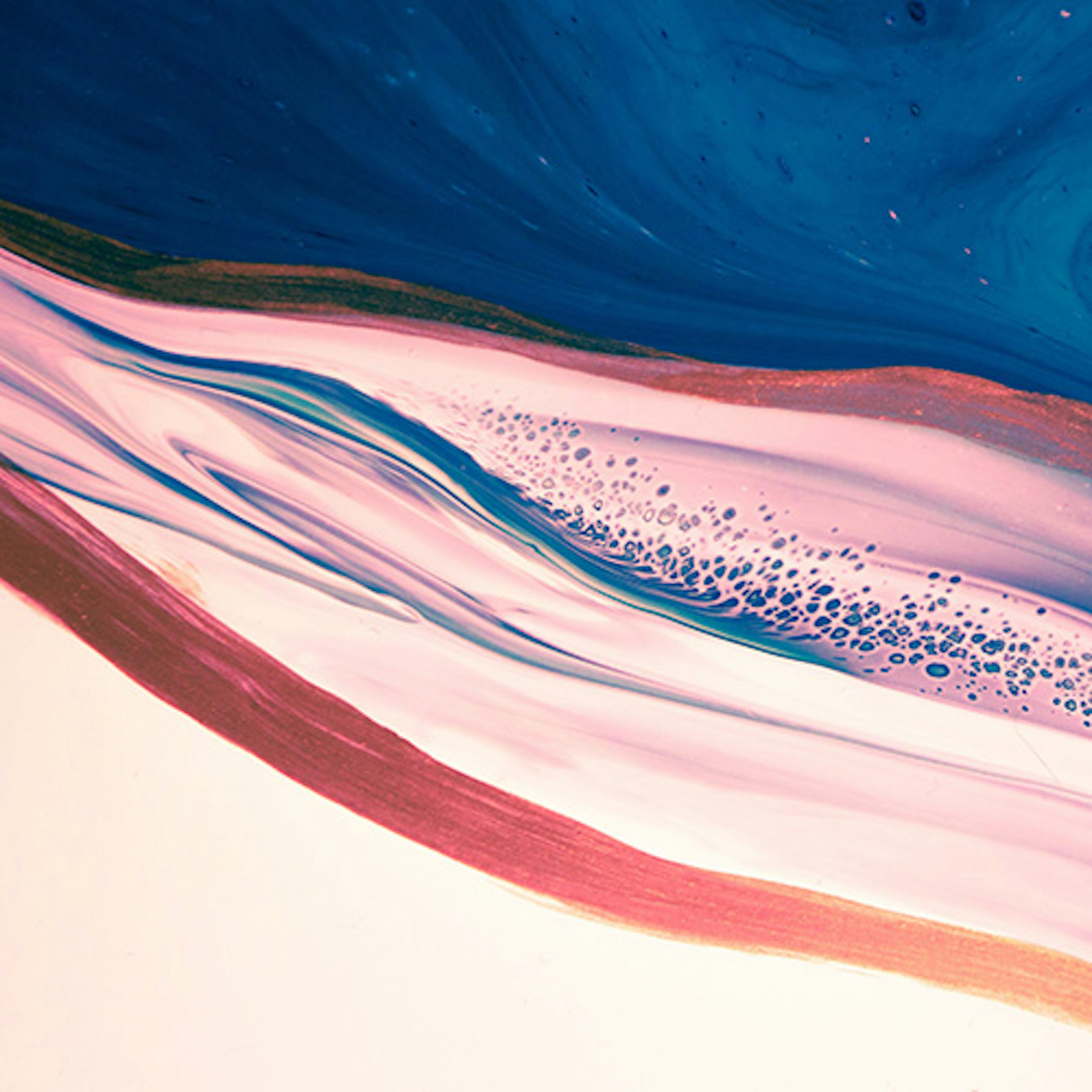 banner-highlight