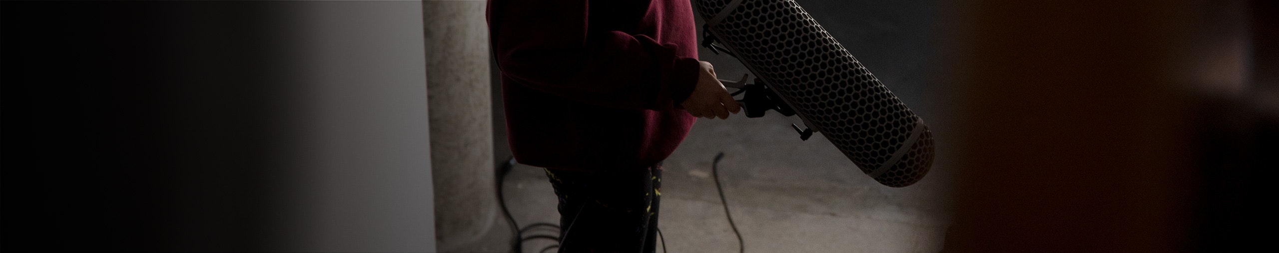 Brazilian animals and birds