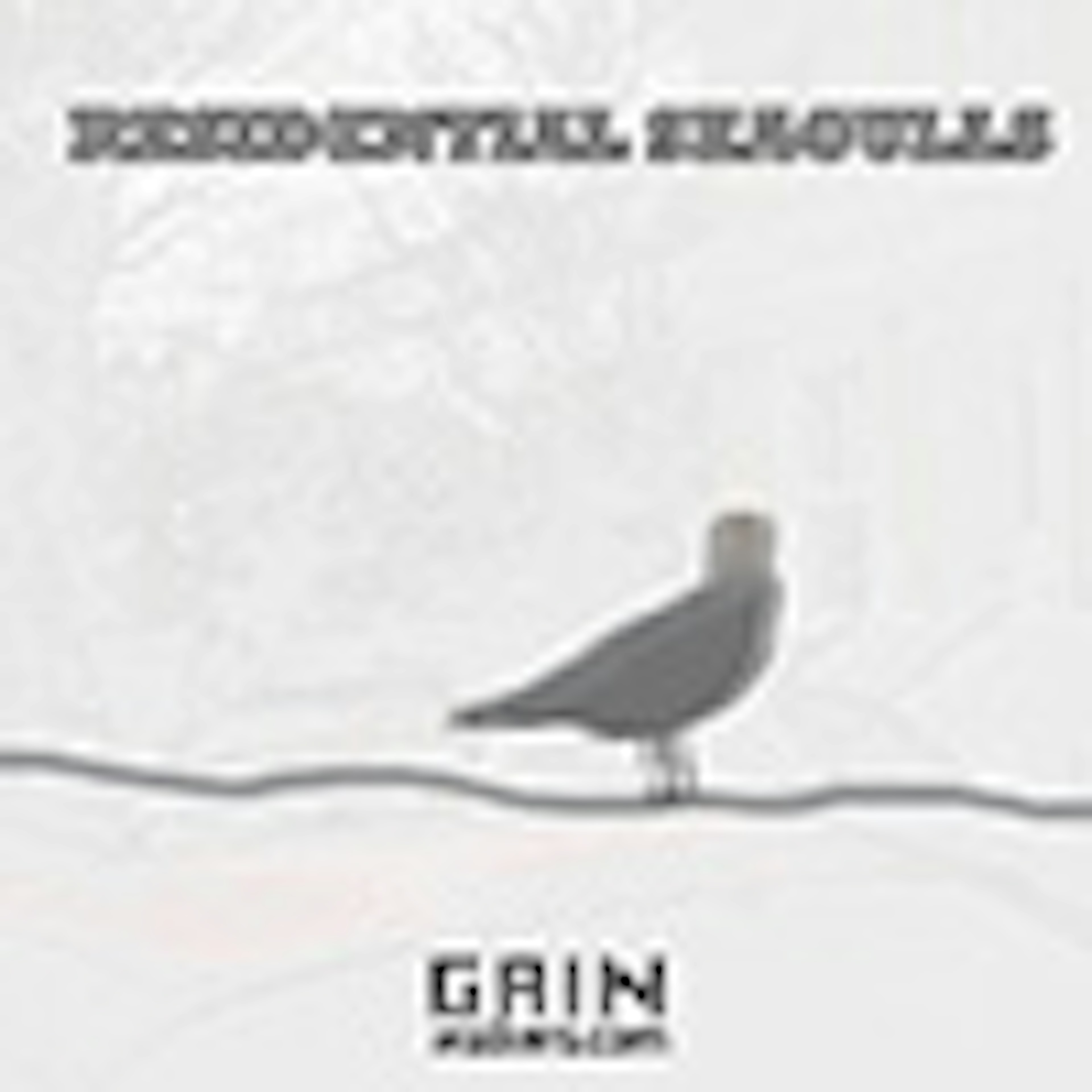 Residential Seagulls  album cover