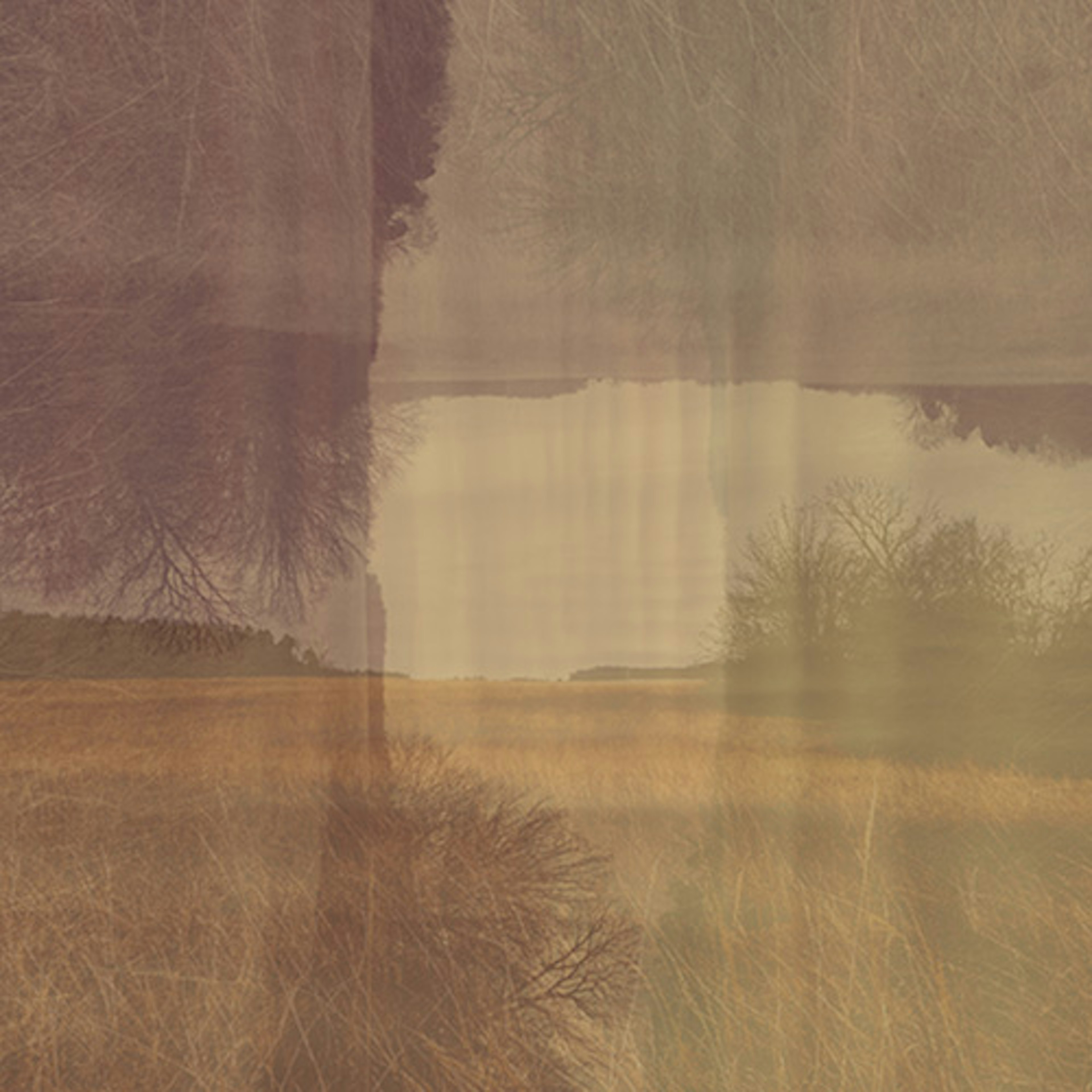 banner-highlight