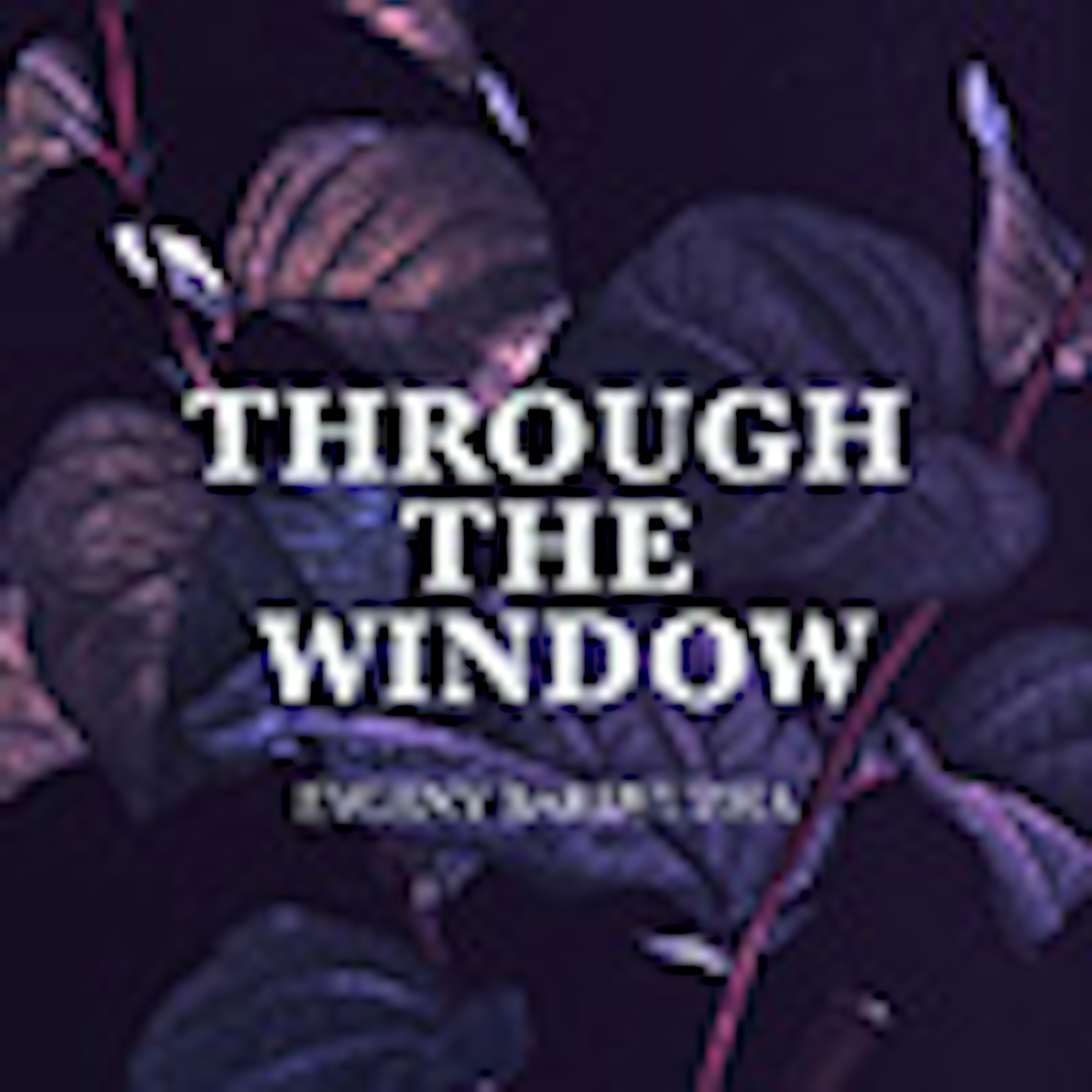 Through the Window album cover
