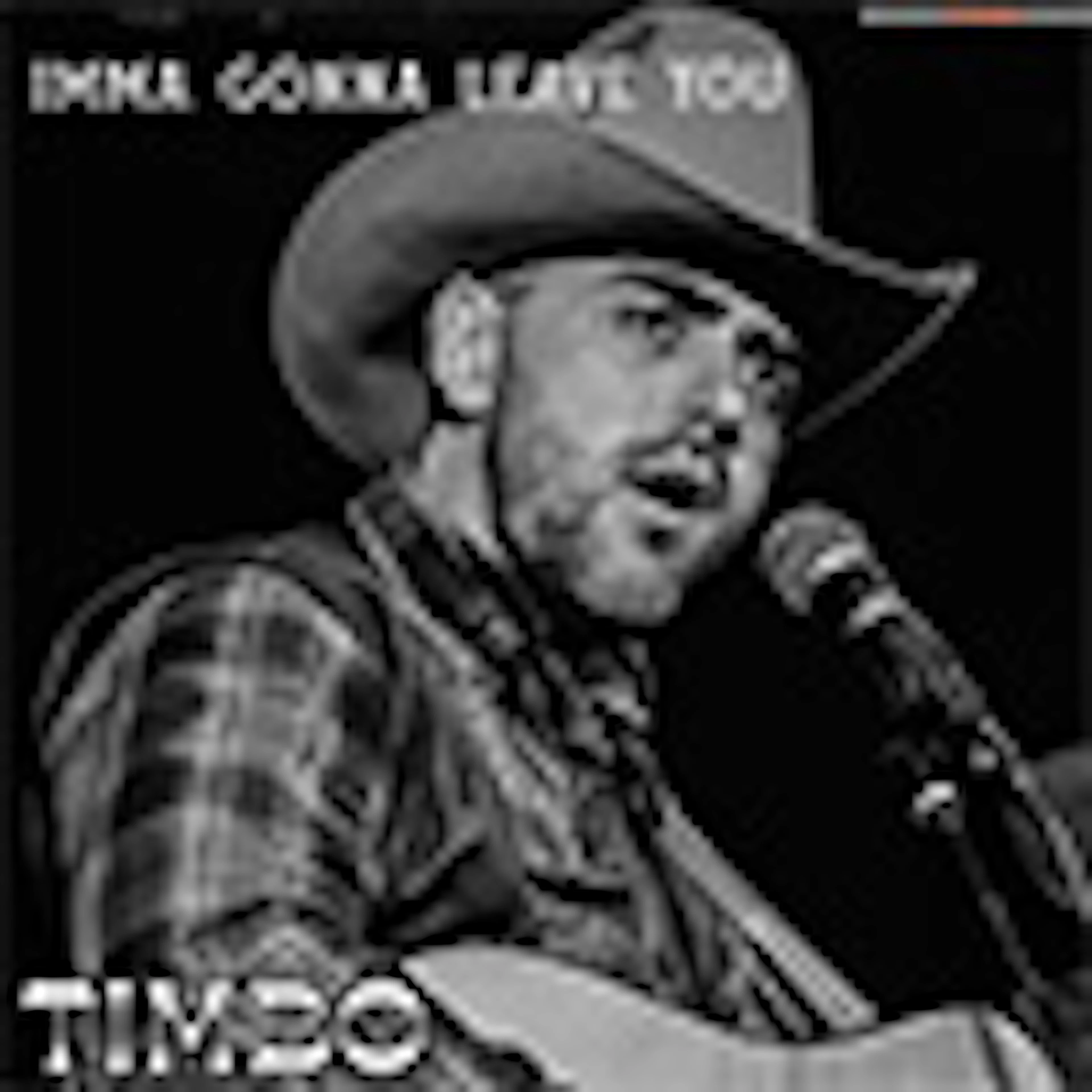 Imma Gonna Leave You