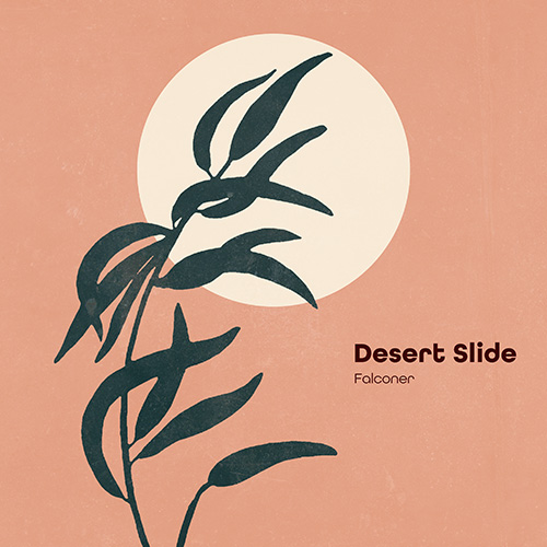 Desert Slide