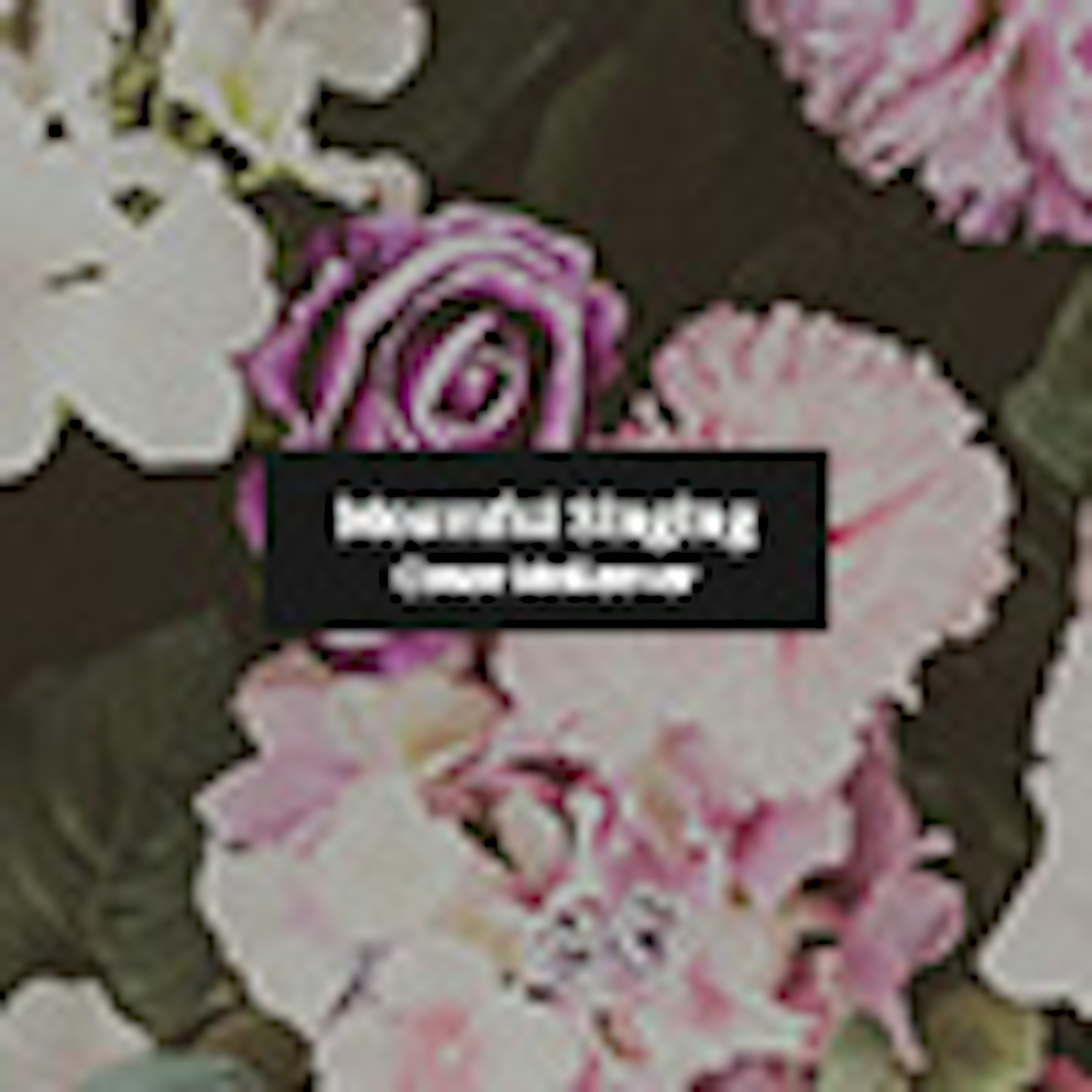 Mournful Singing album cover