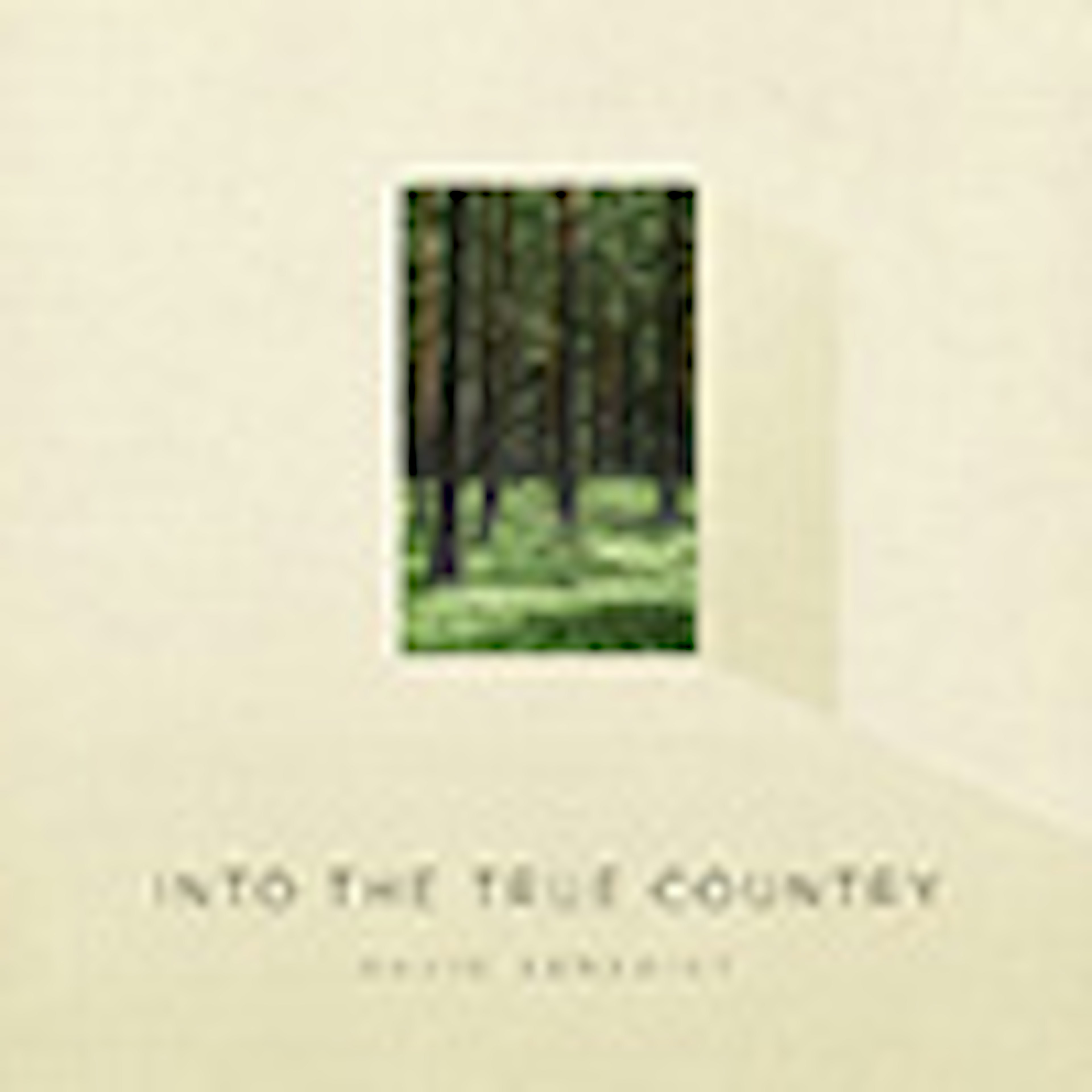 Into the True Country album cover