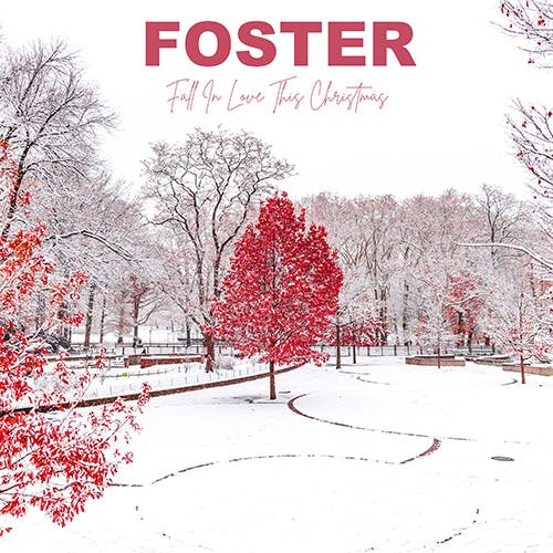 Fall in Love This Christmas