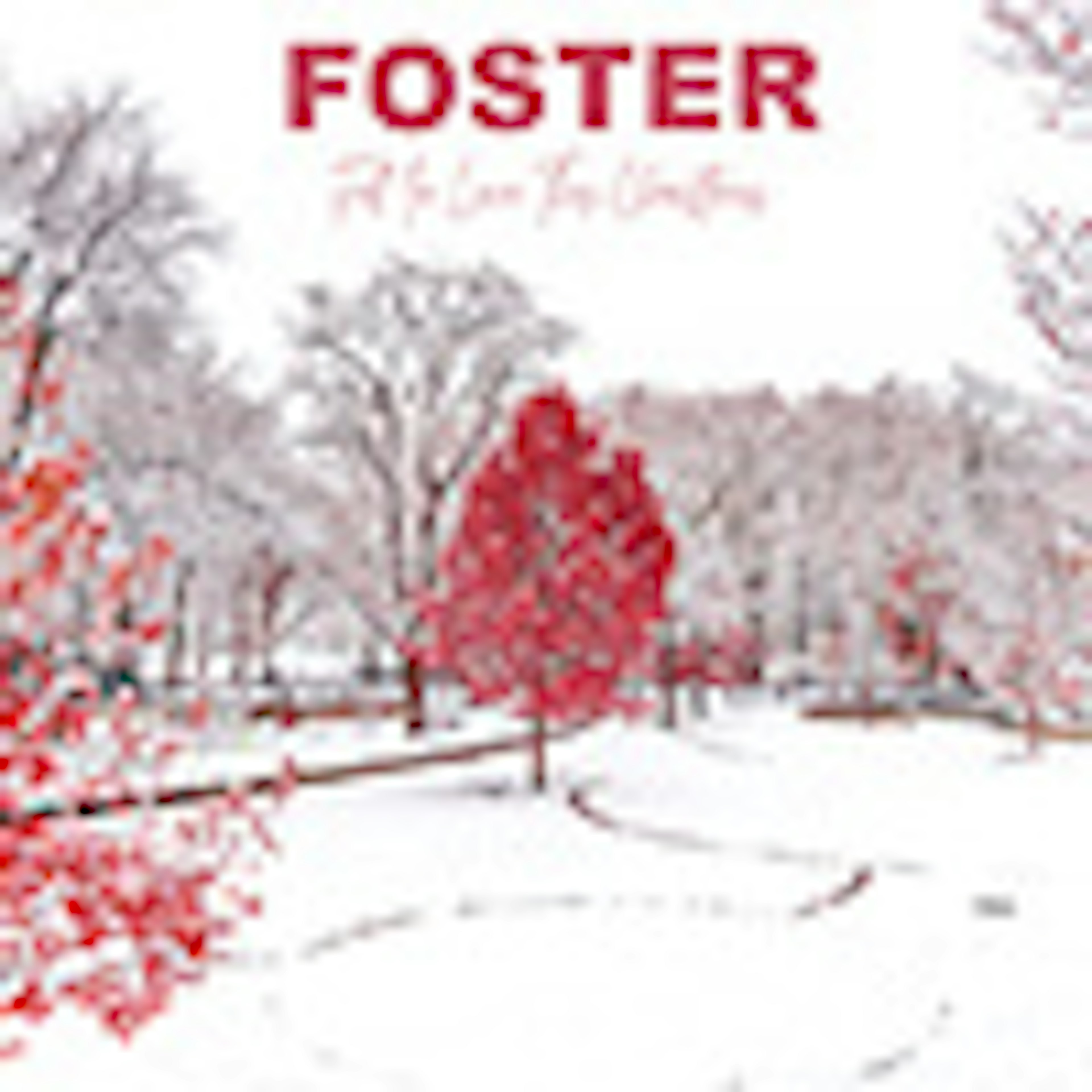 Fall in Love This Christmas