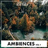 Ambiences Vol 1 album cover Ambiences Vol 1 album cover