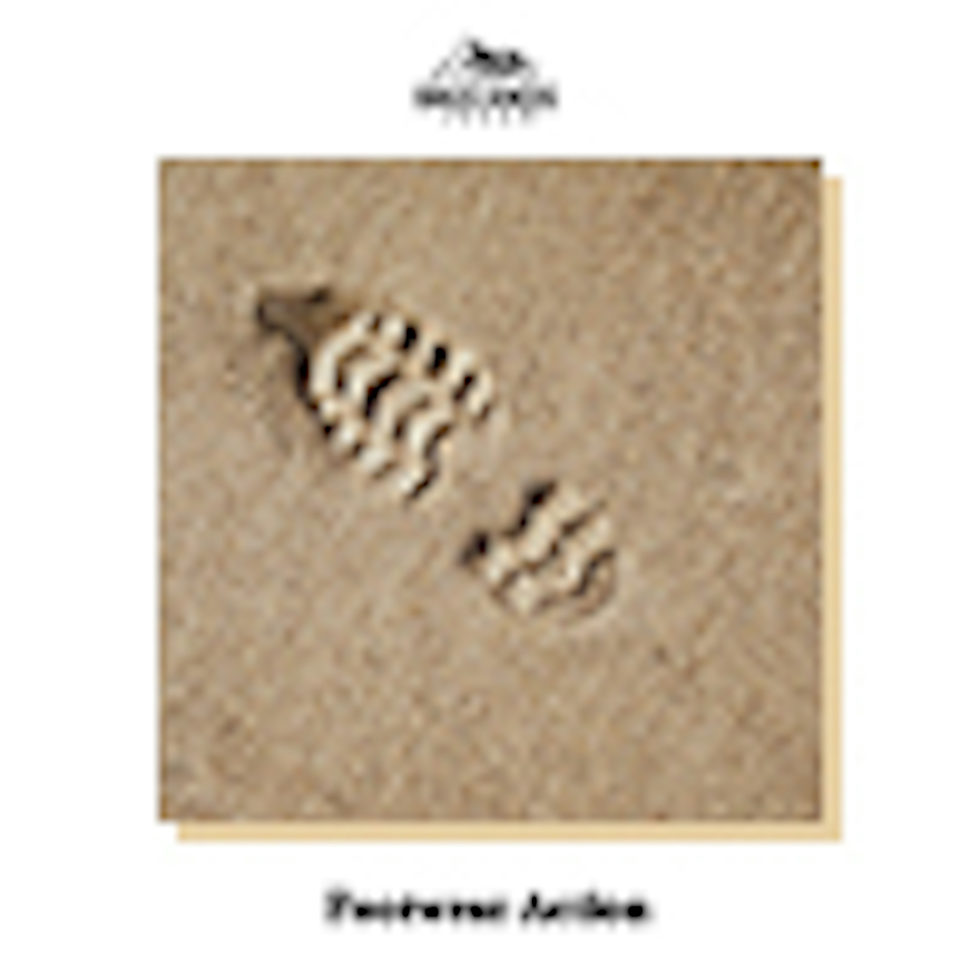 Footwear Action album cover